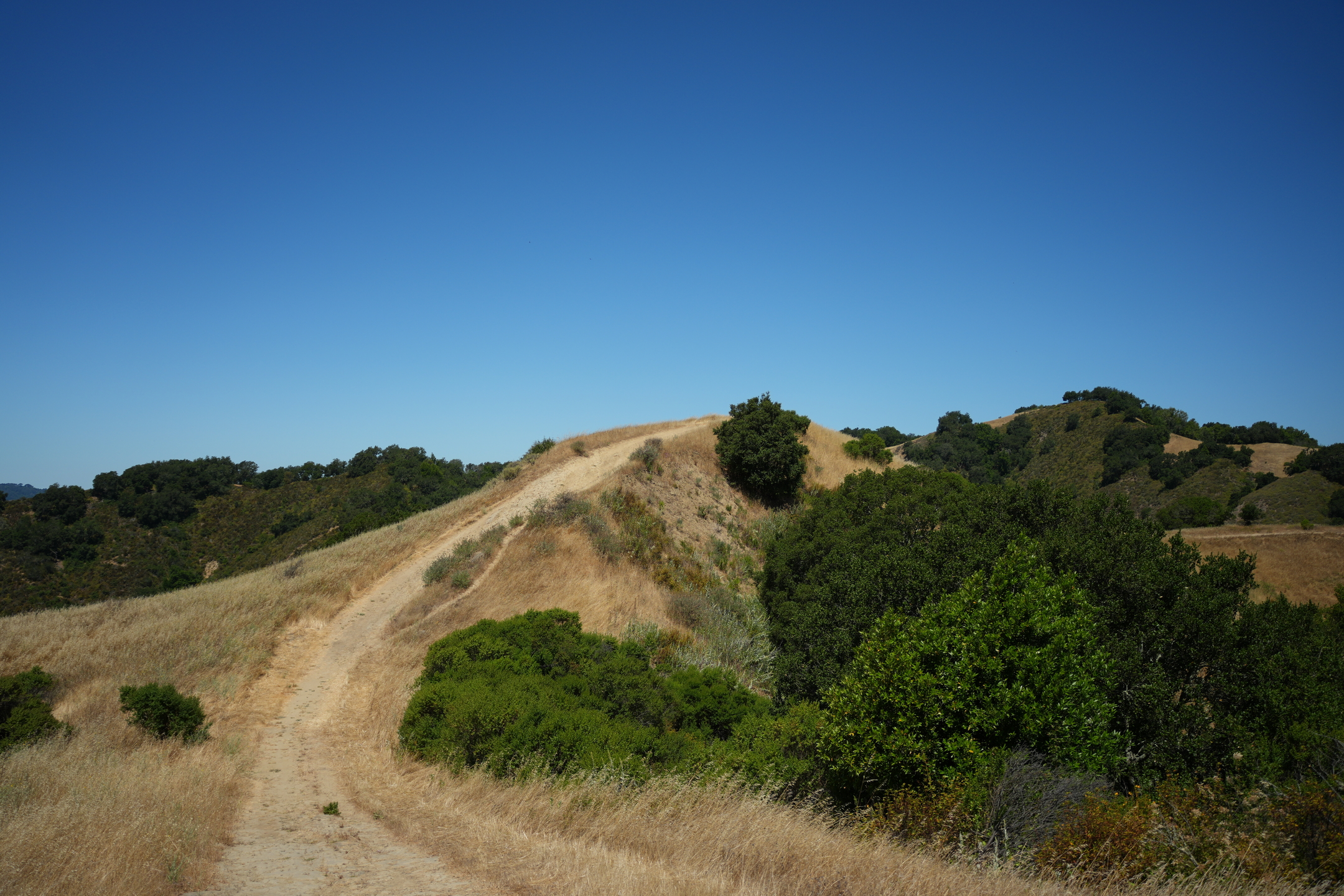 Briones Regional Park - Lafayette Ridge