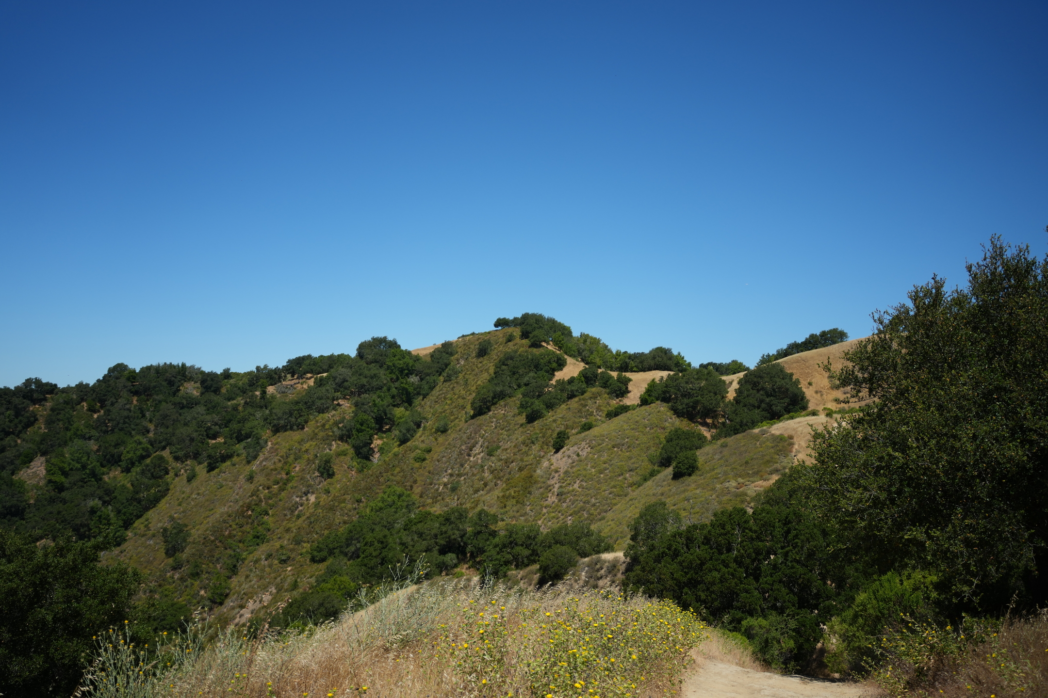 Briones Regional Park - Lafayette Ridge