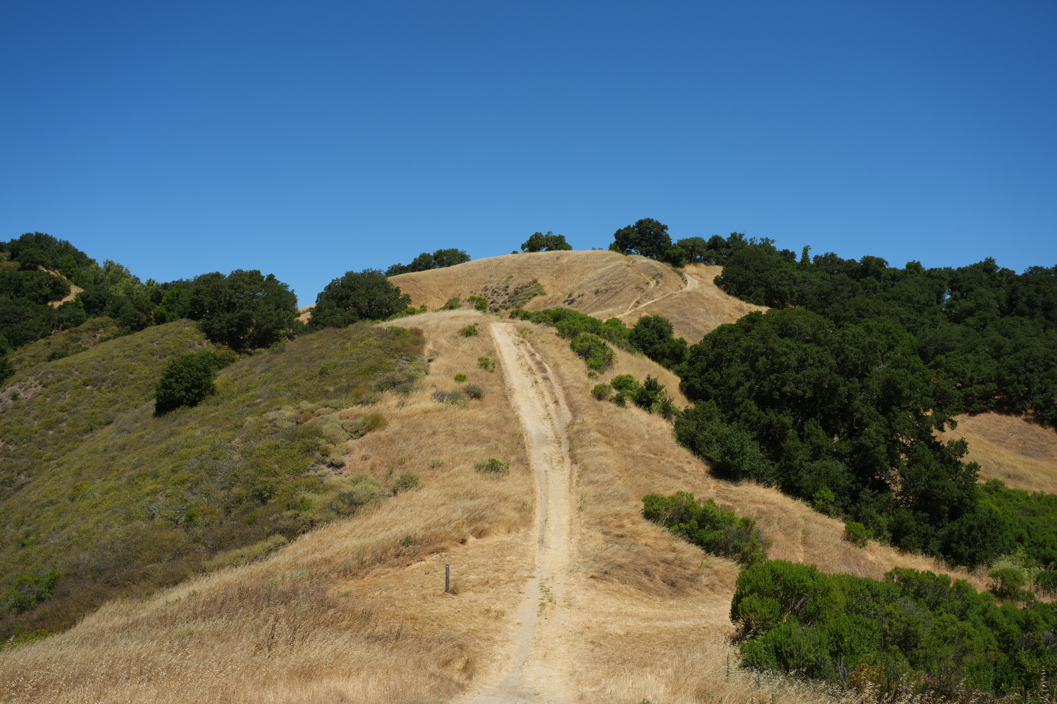 Briones Regional Park - Lafayette Ridge