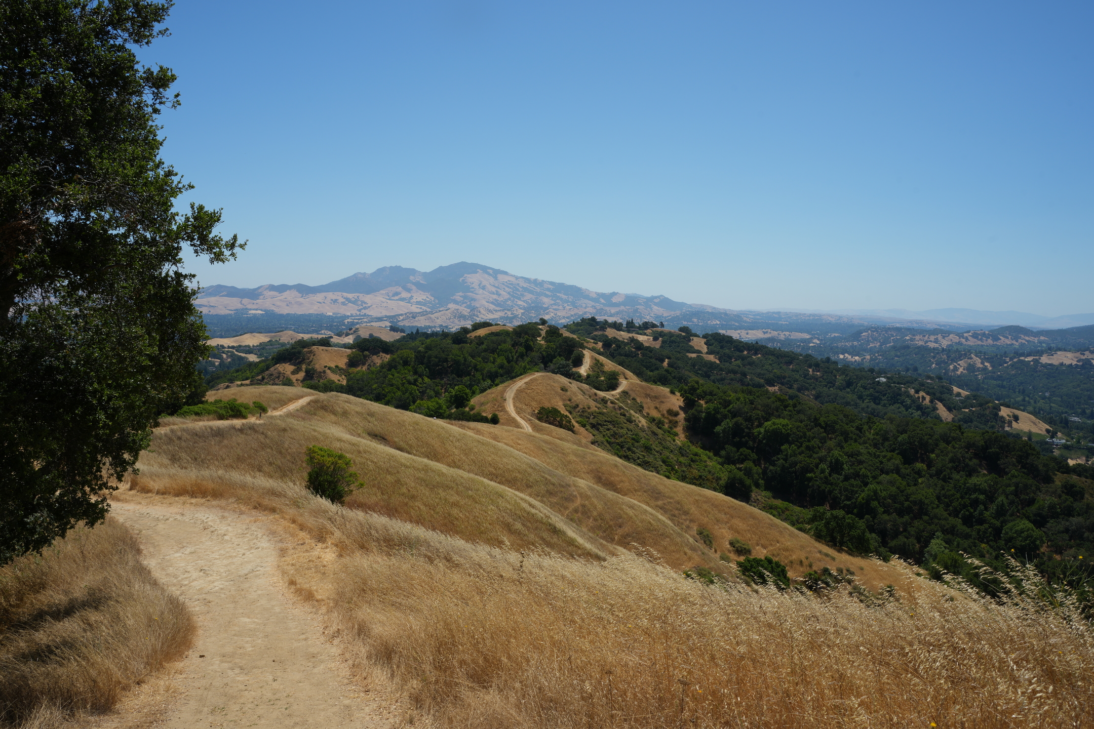 Briones Regional Park - Lafayette Ridge