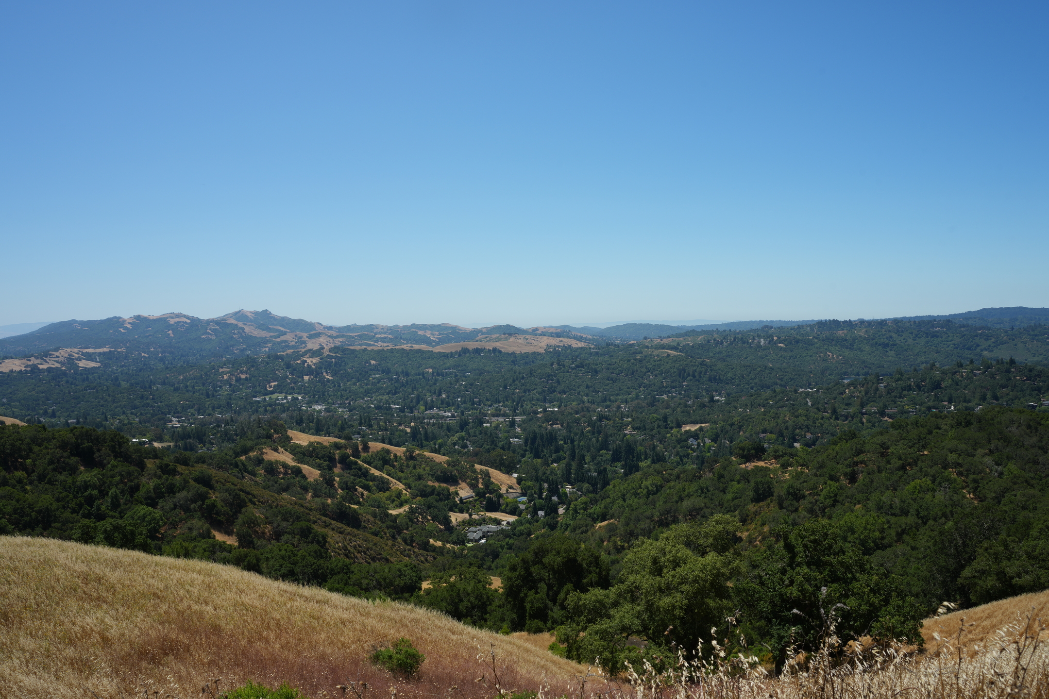 Briones Regional Park - Lafayette Ridge