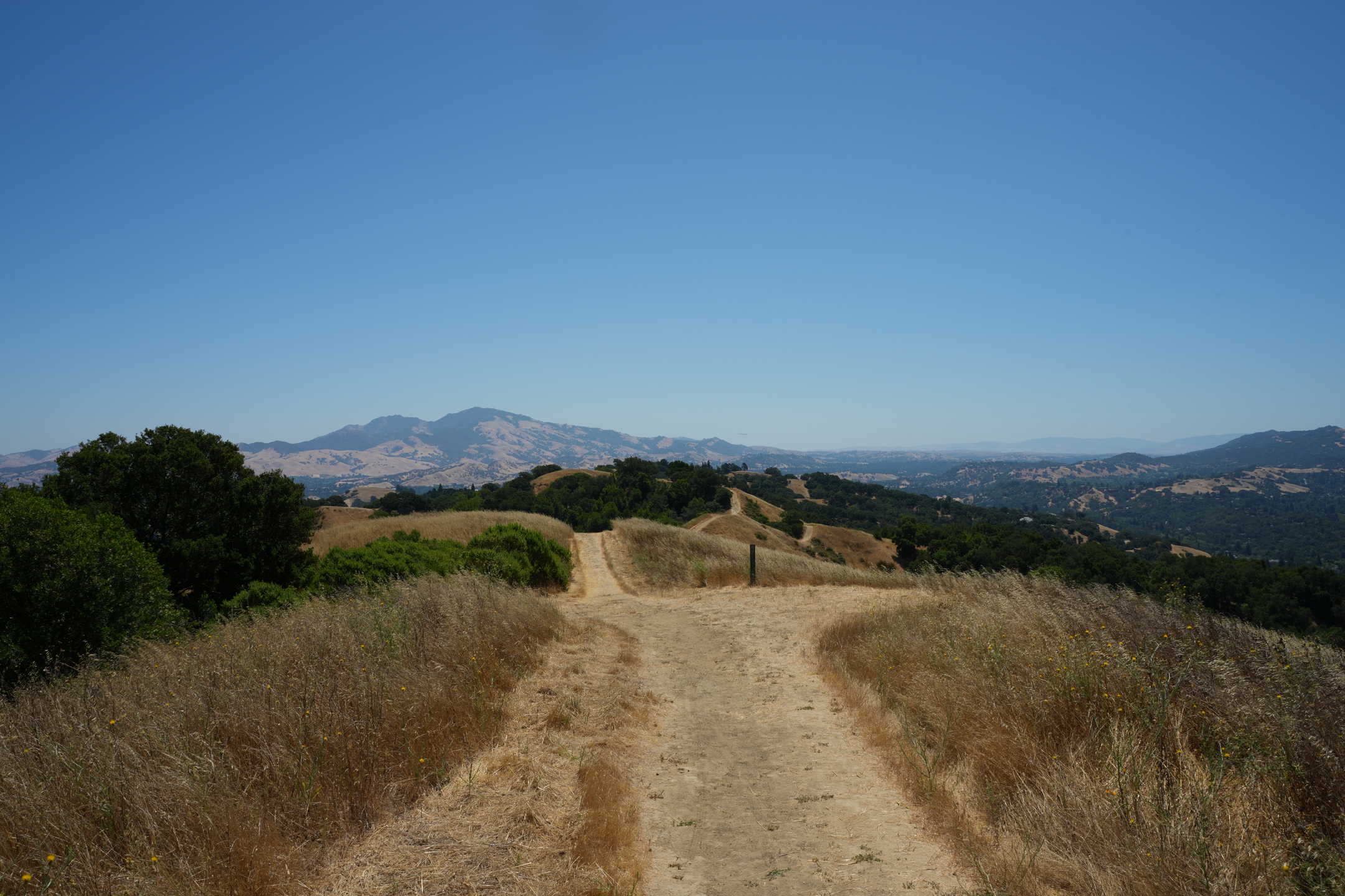 Briones Regional Park - Lafayette Ridge