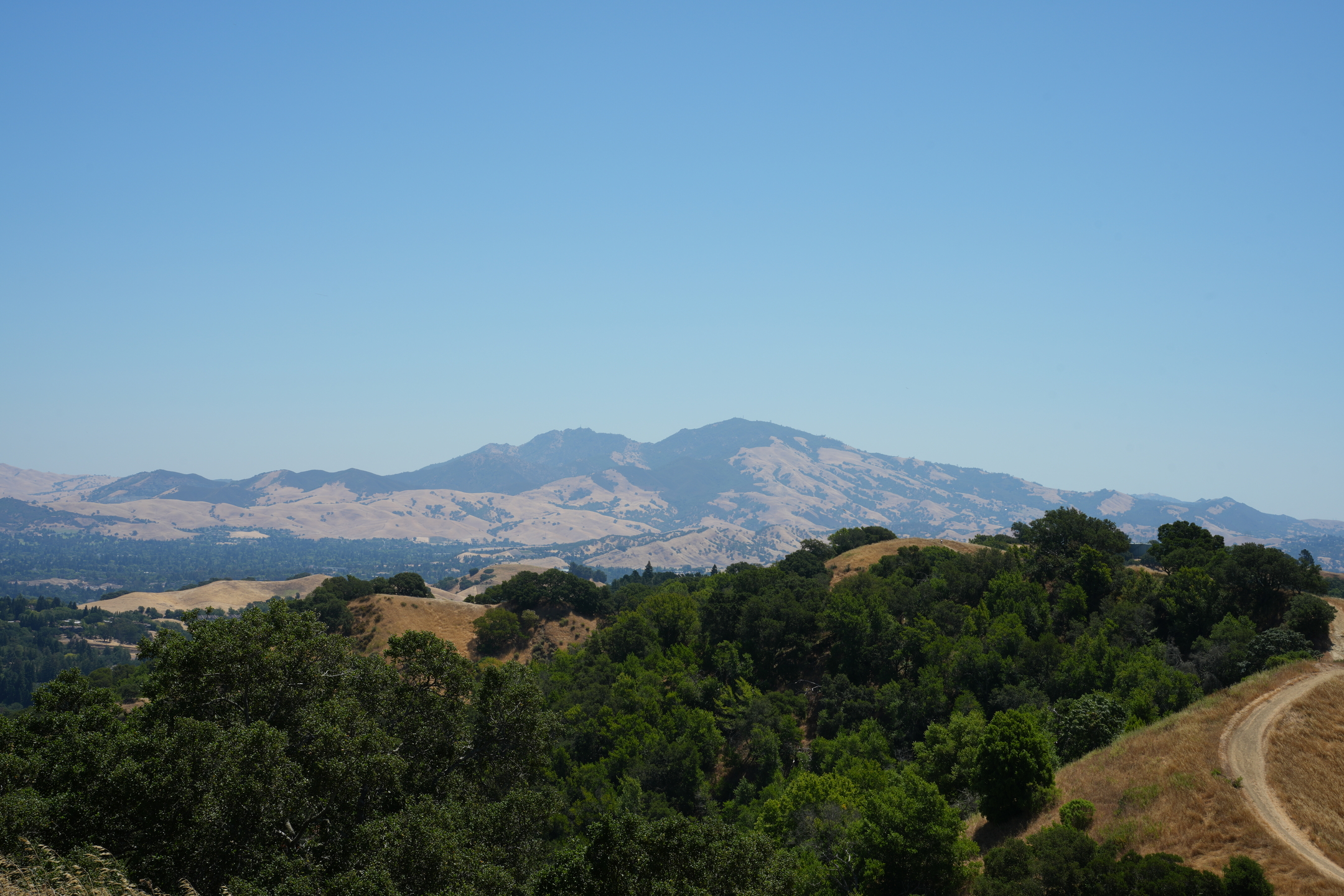 Briones Regional Park - Lafayette Ridge