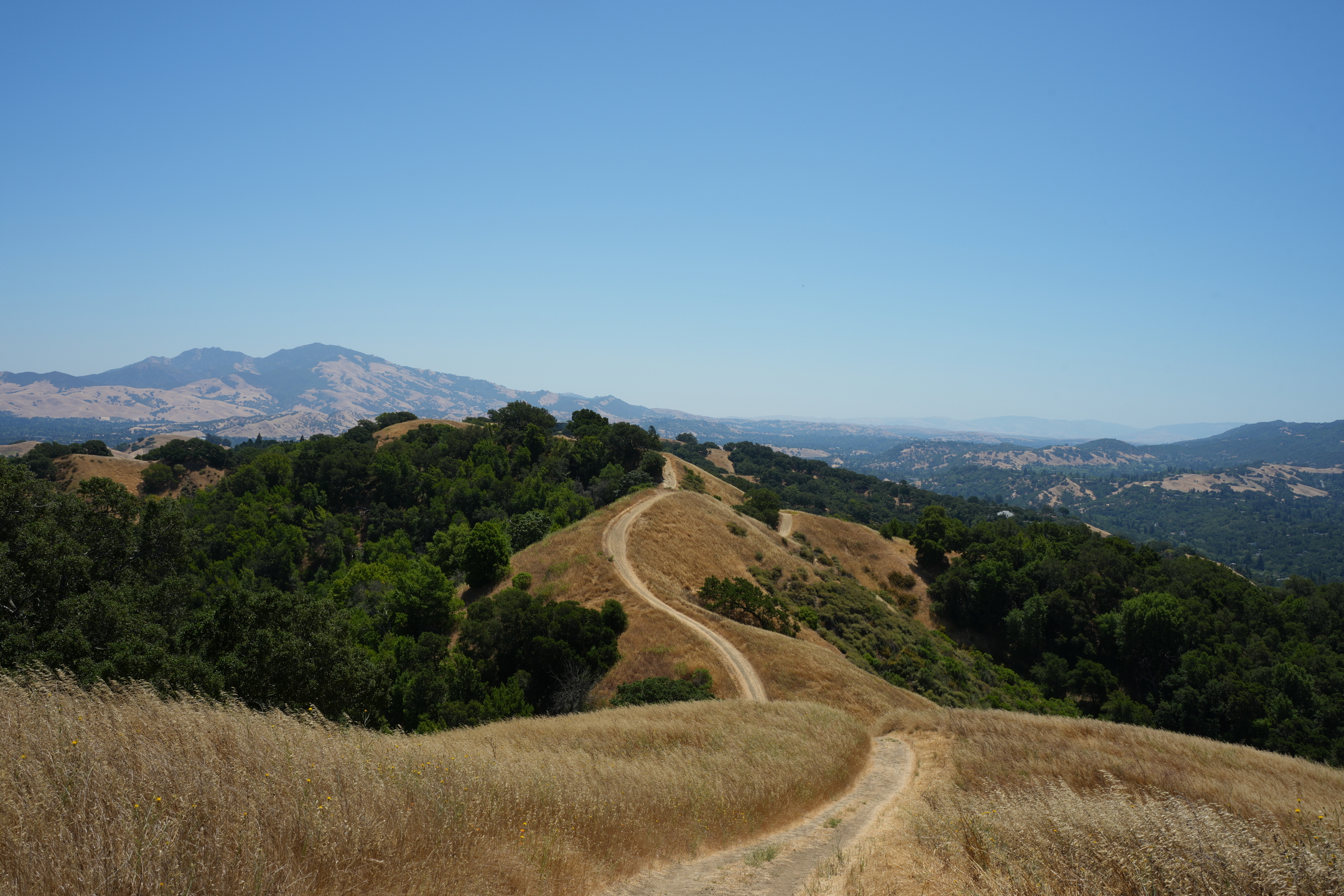 Briones Regional Park - Lafayette Ridge