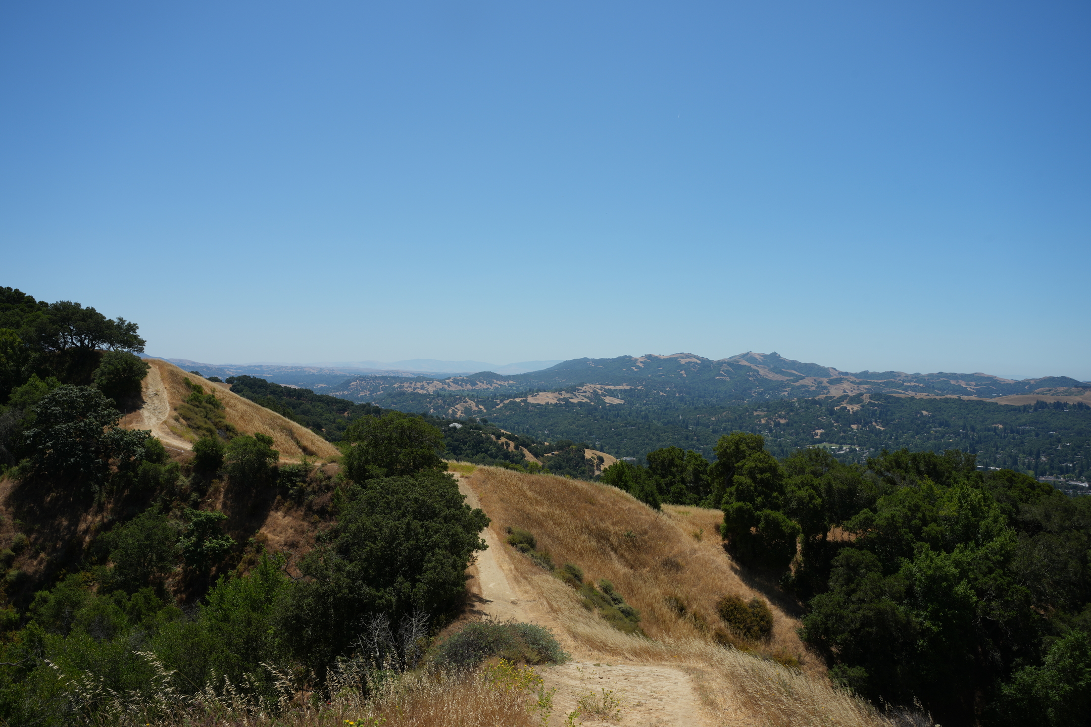 Briones Regional Park - Lafayette Ridge