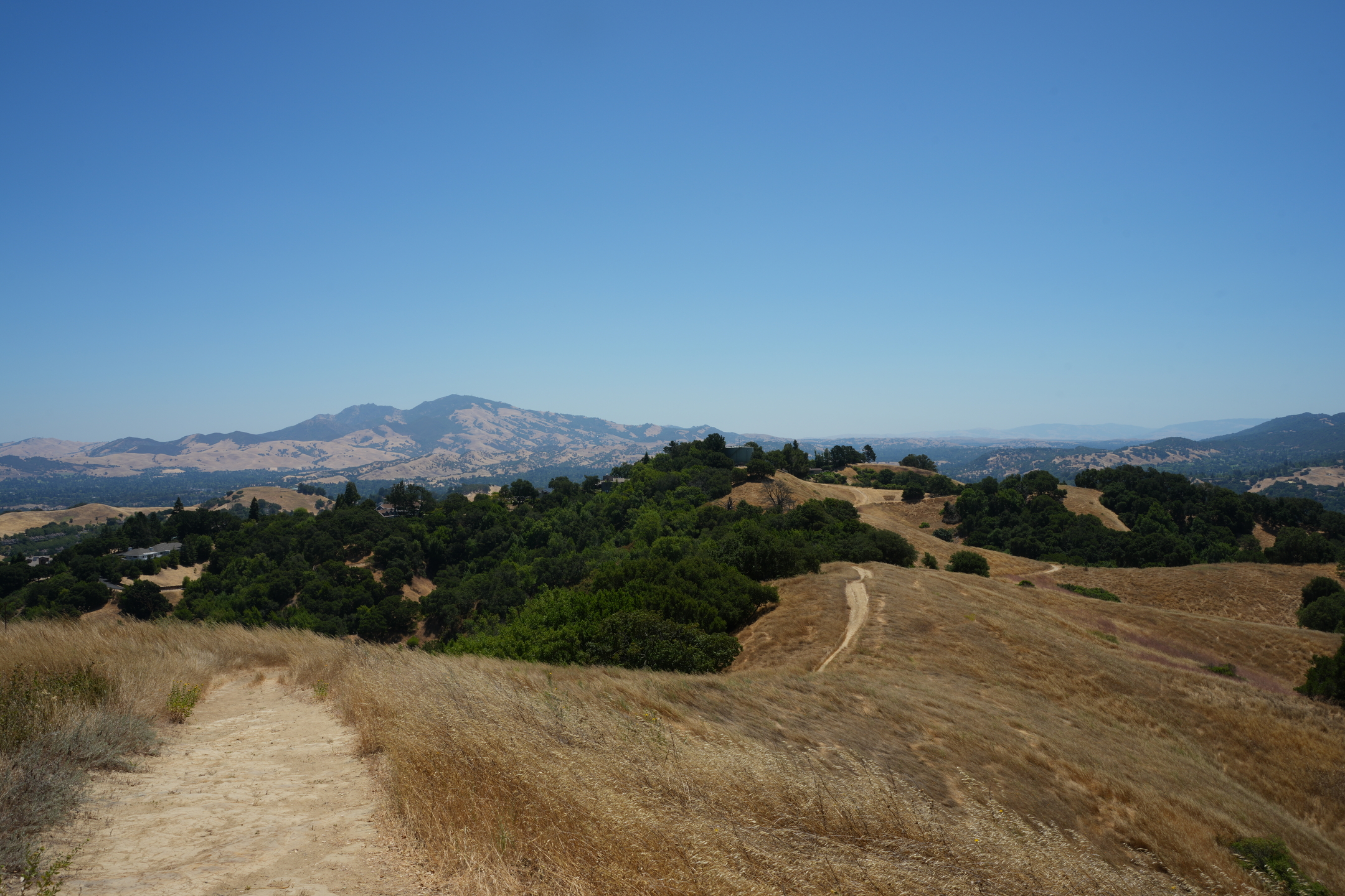 Briones Regional Park - Lafayette Ridge