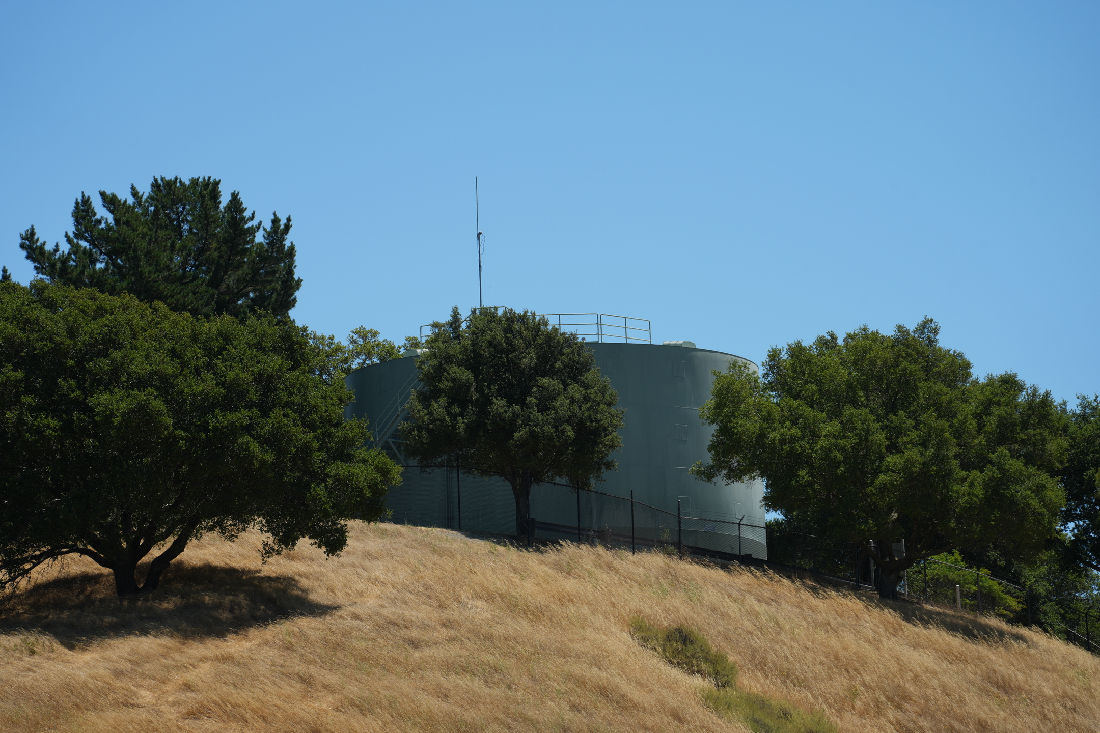 Briones Regional Park - Lafayette Ridge