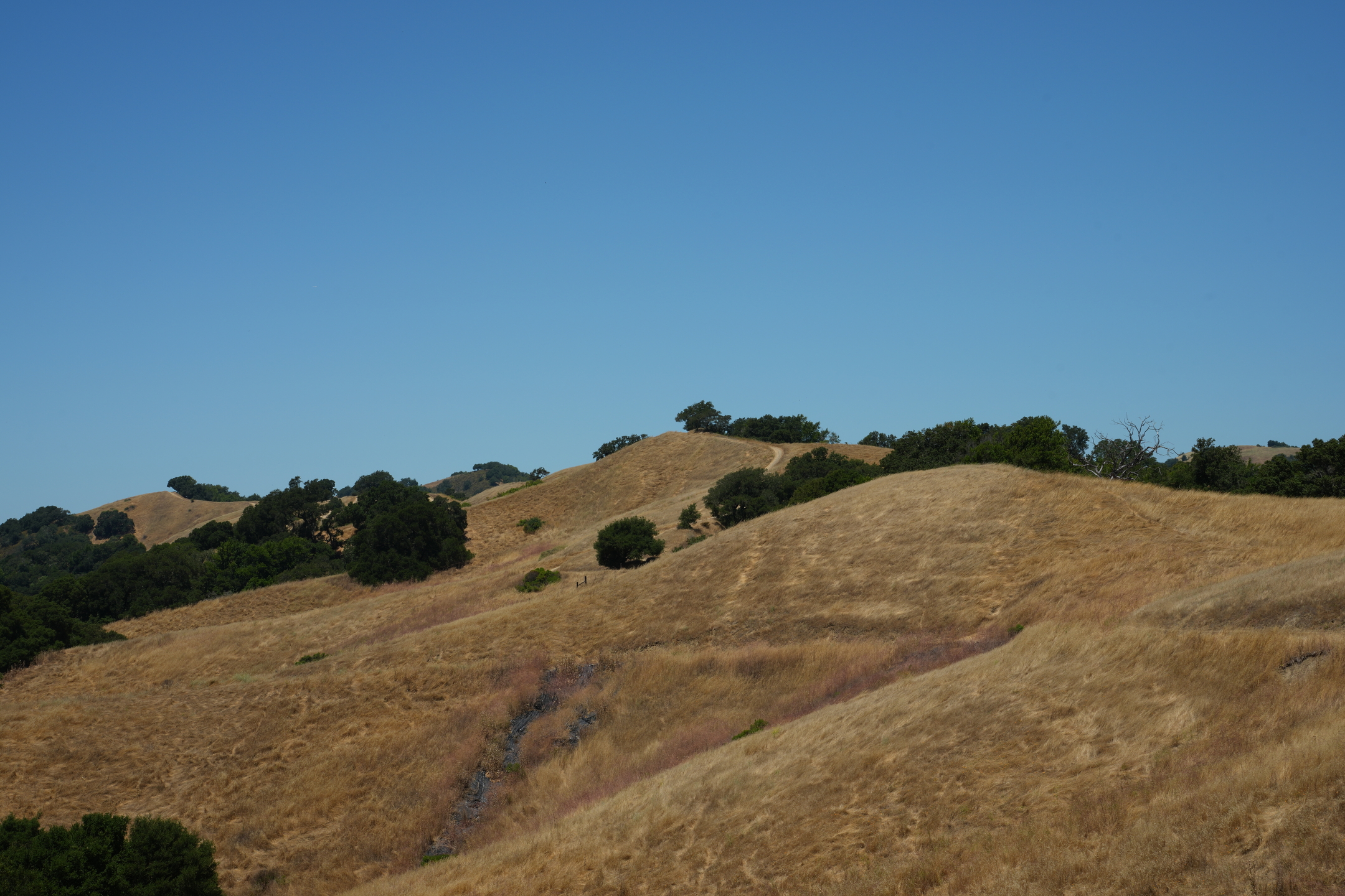 Briones Regional Park - Lafayette Ridge