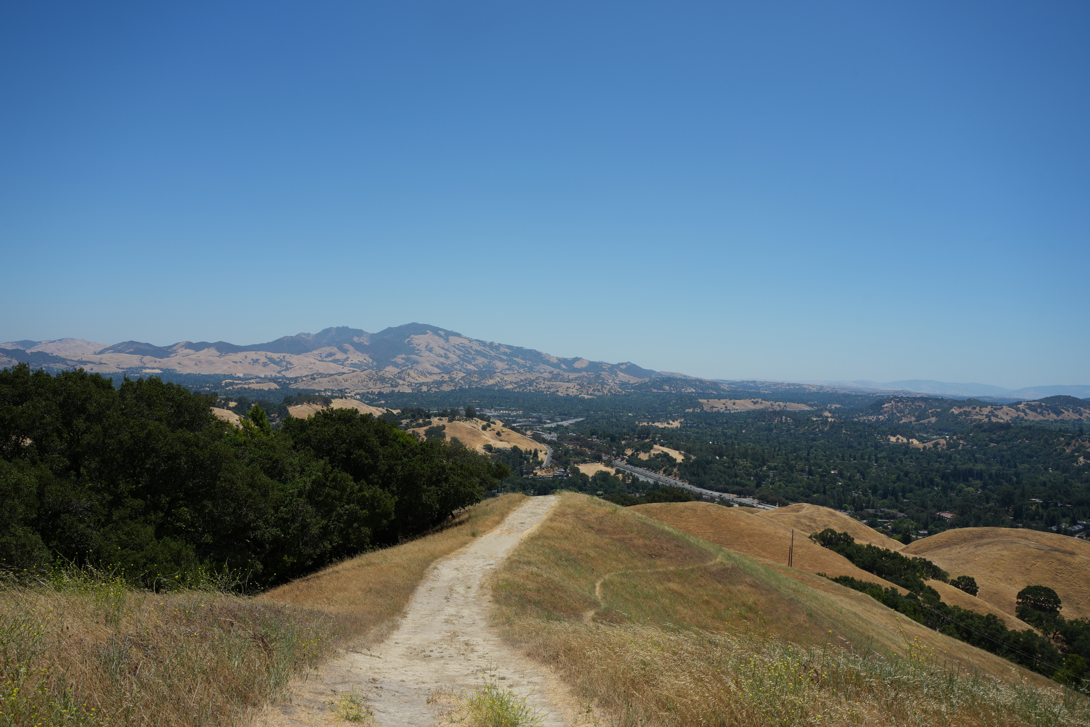 Briones Regional Park - Lafayette Ridge