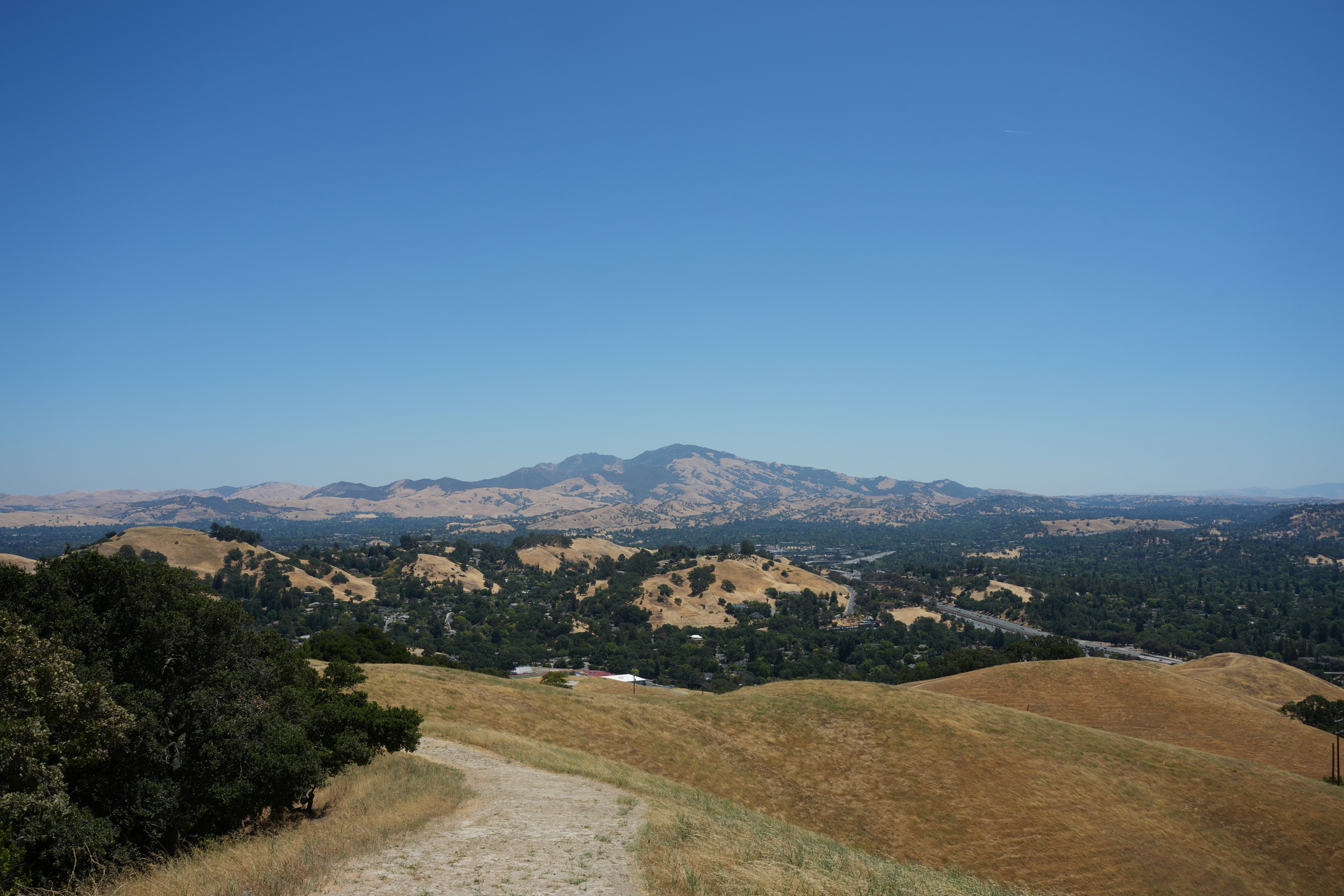 Briones Regional Park - Lafayette Ridge