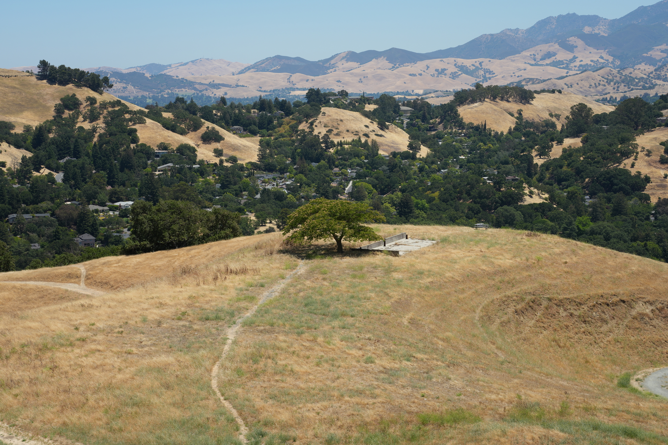 Briones Regional Park - Lafayette Ridge