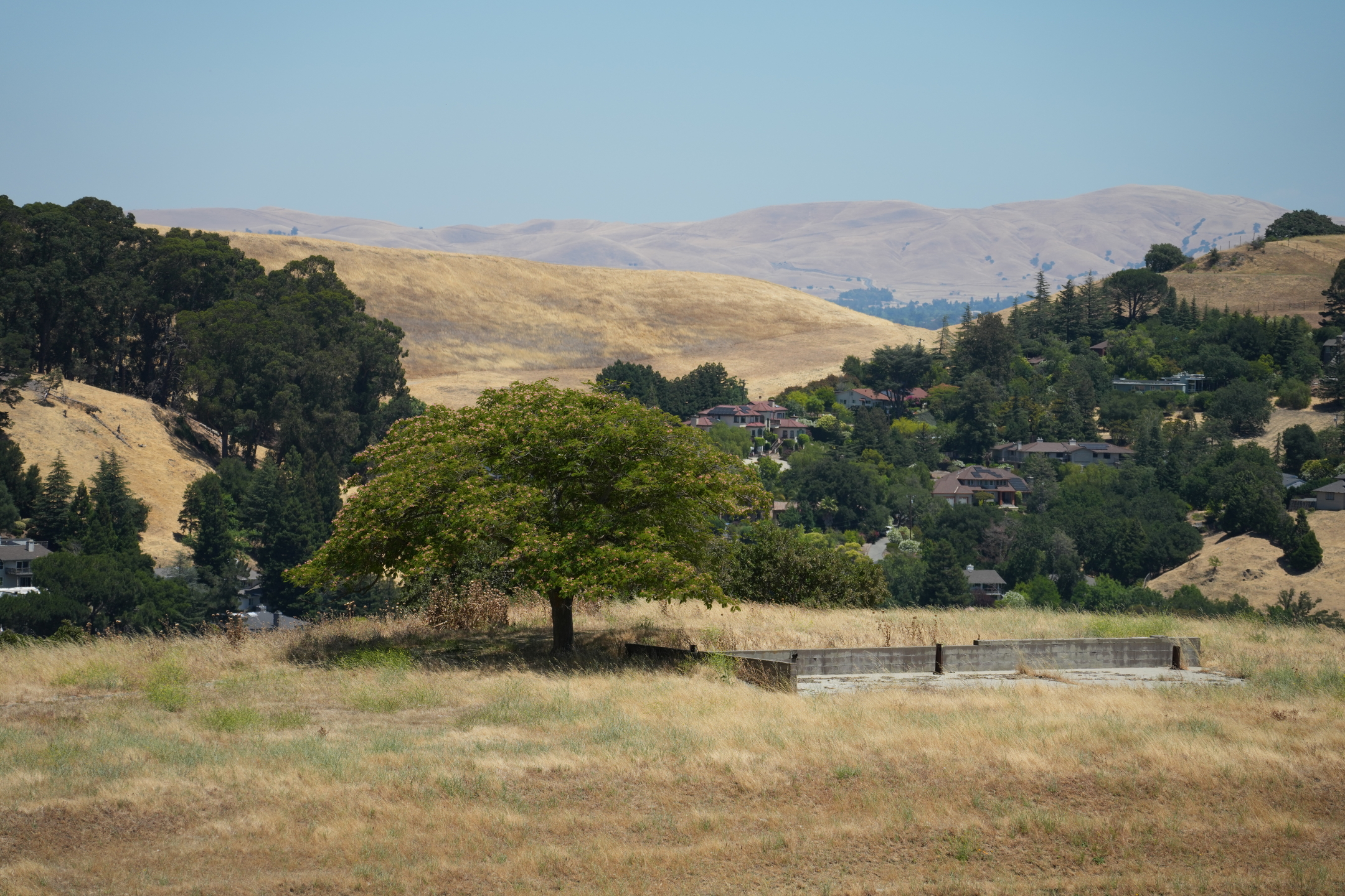 Briones Regional Park - Lafayette Ridge