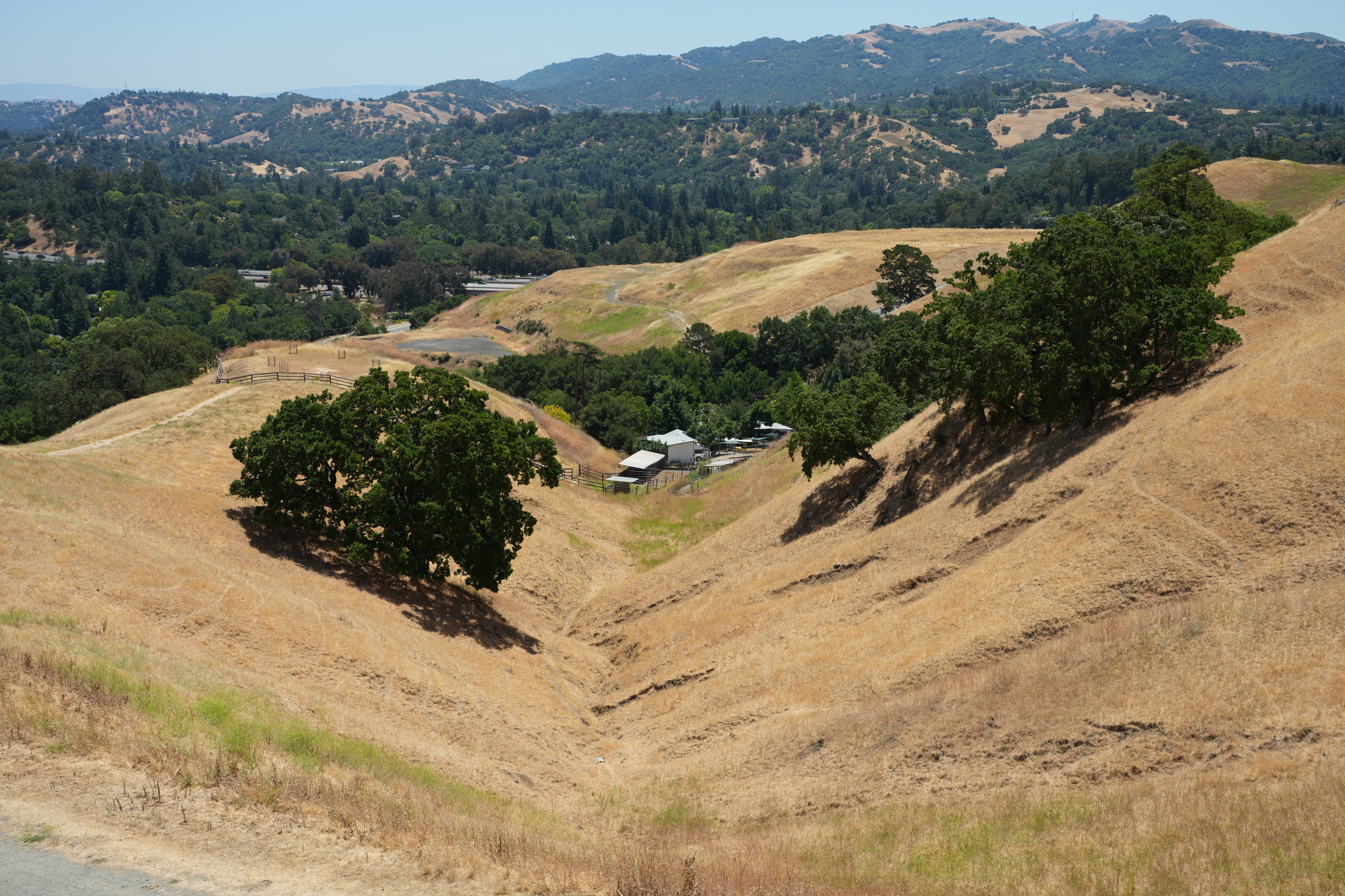 Briones Regional Park - Lafayette Ridge