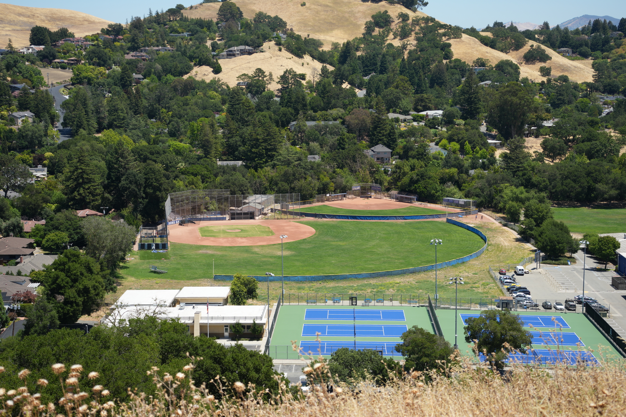 Briones Regional Park - Lafayette Ridge