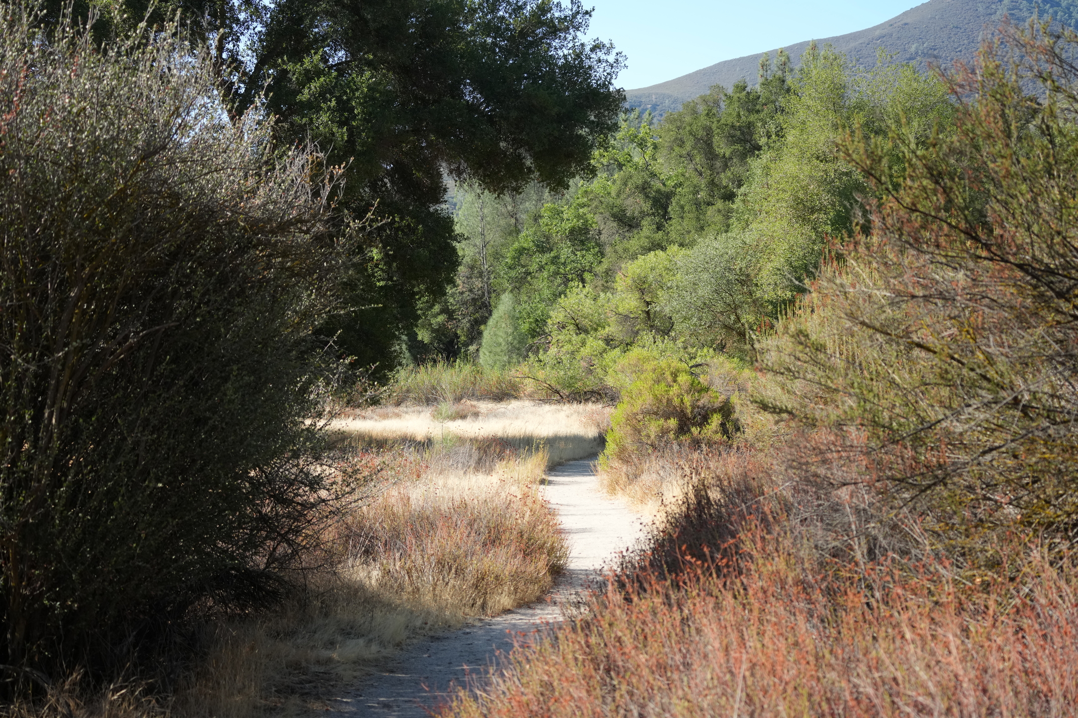 Southern Wilderness Trail