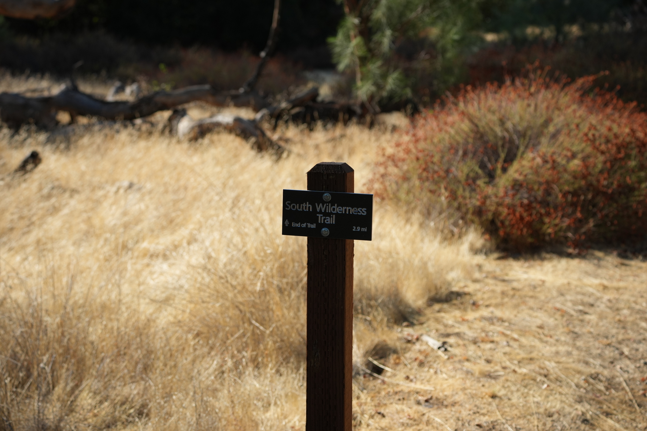 Southern Wilderness Trail