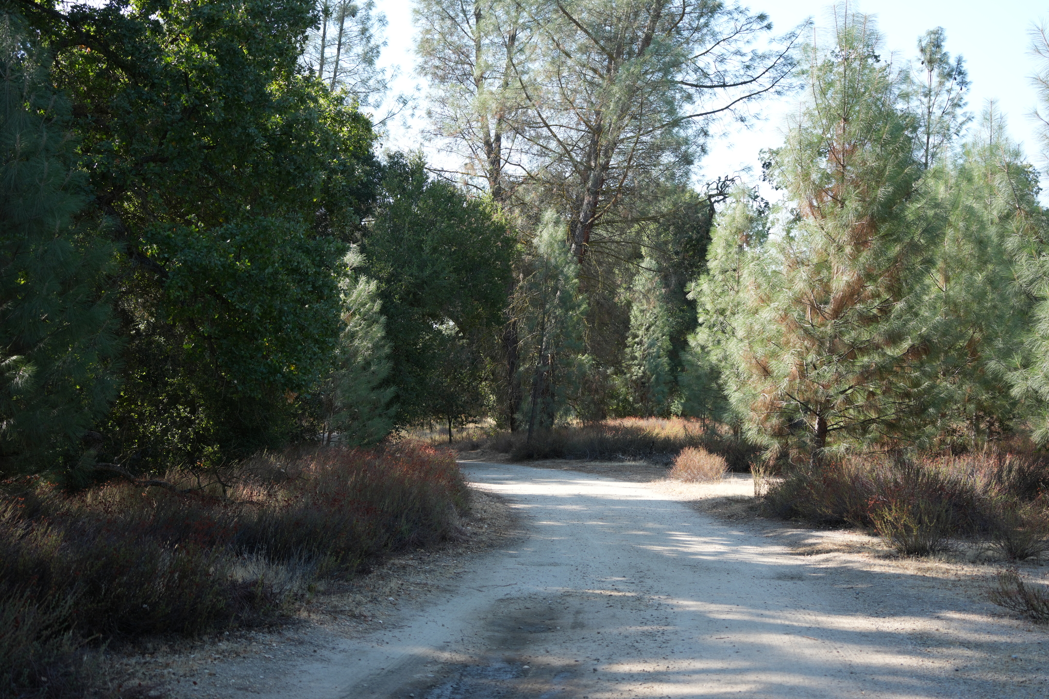 Southern Wilderness Trail
