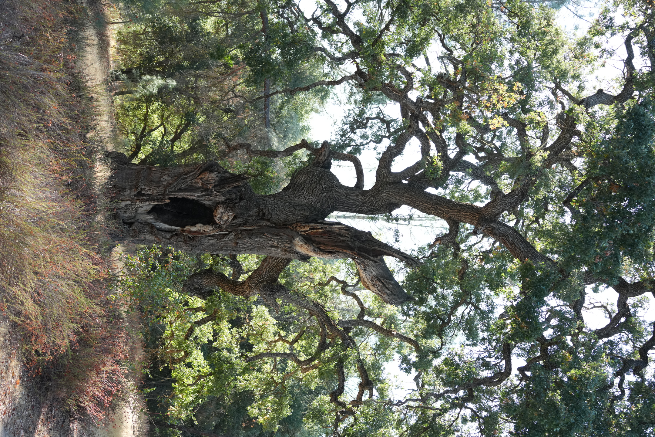 Southern Wilderness Trail