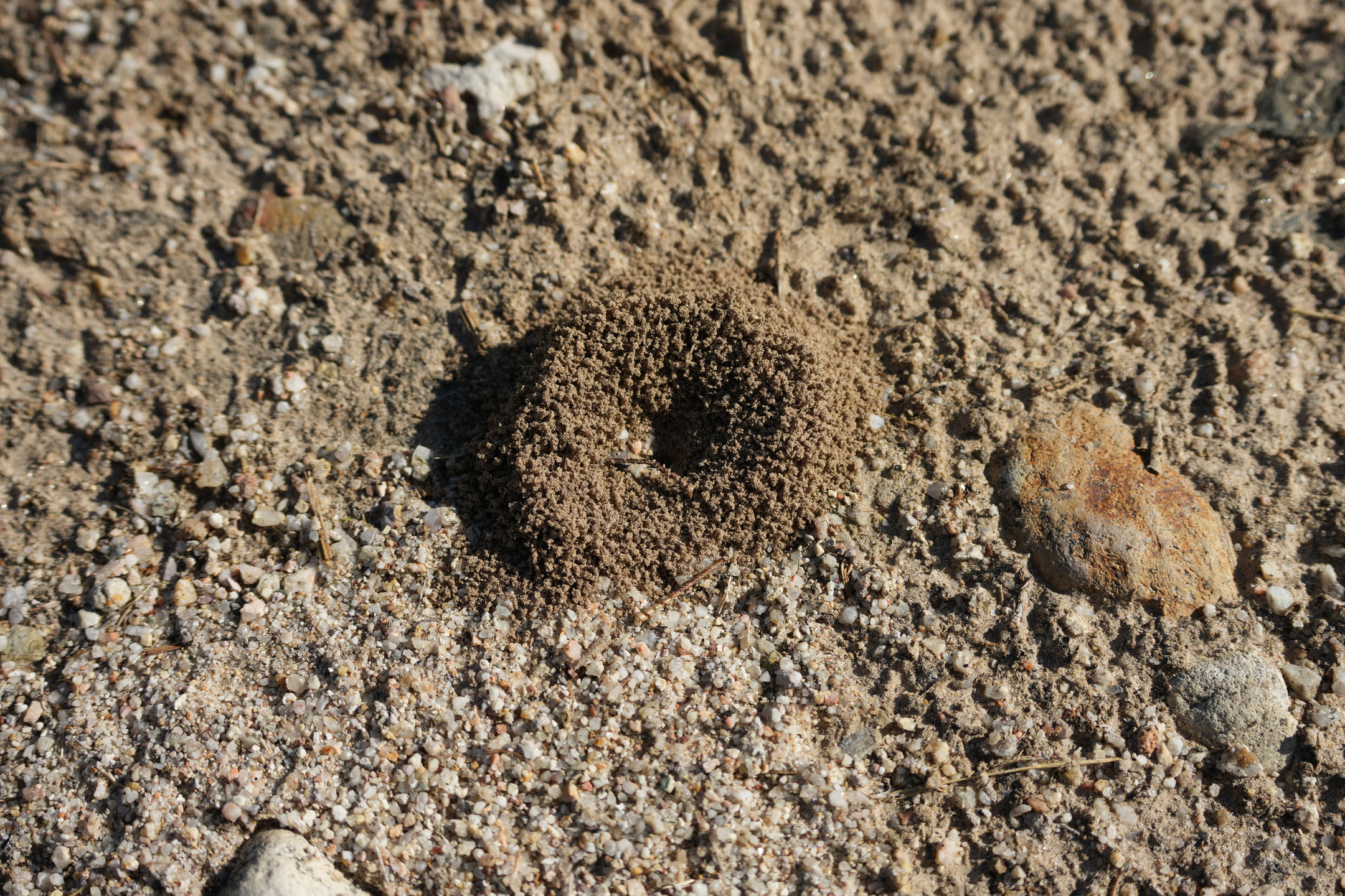 Southern Wilderness Trail