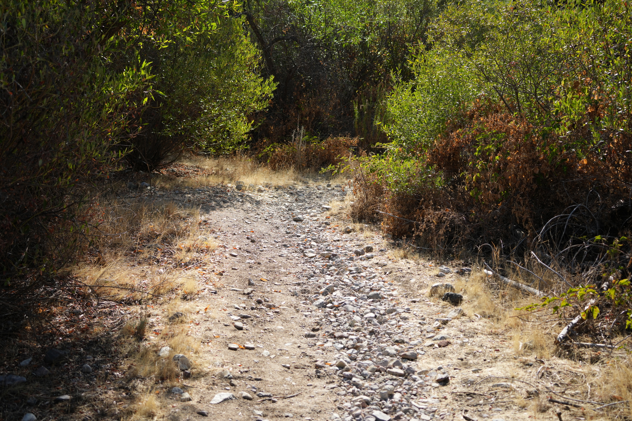 Southern Wilderness Trail