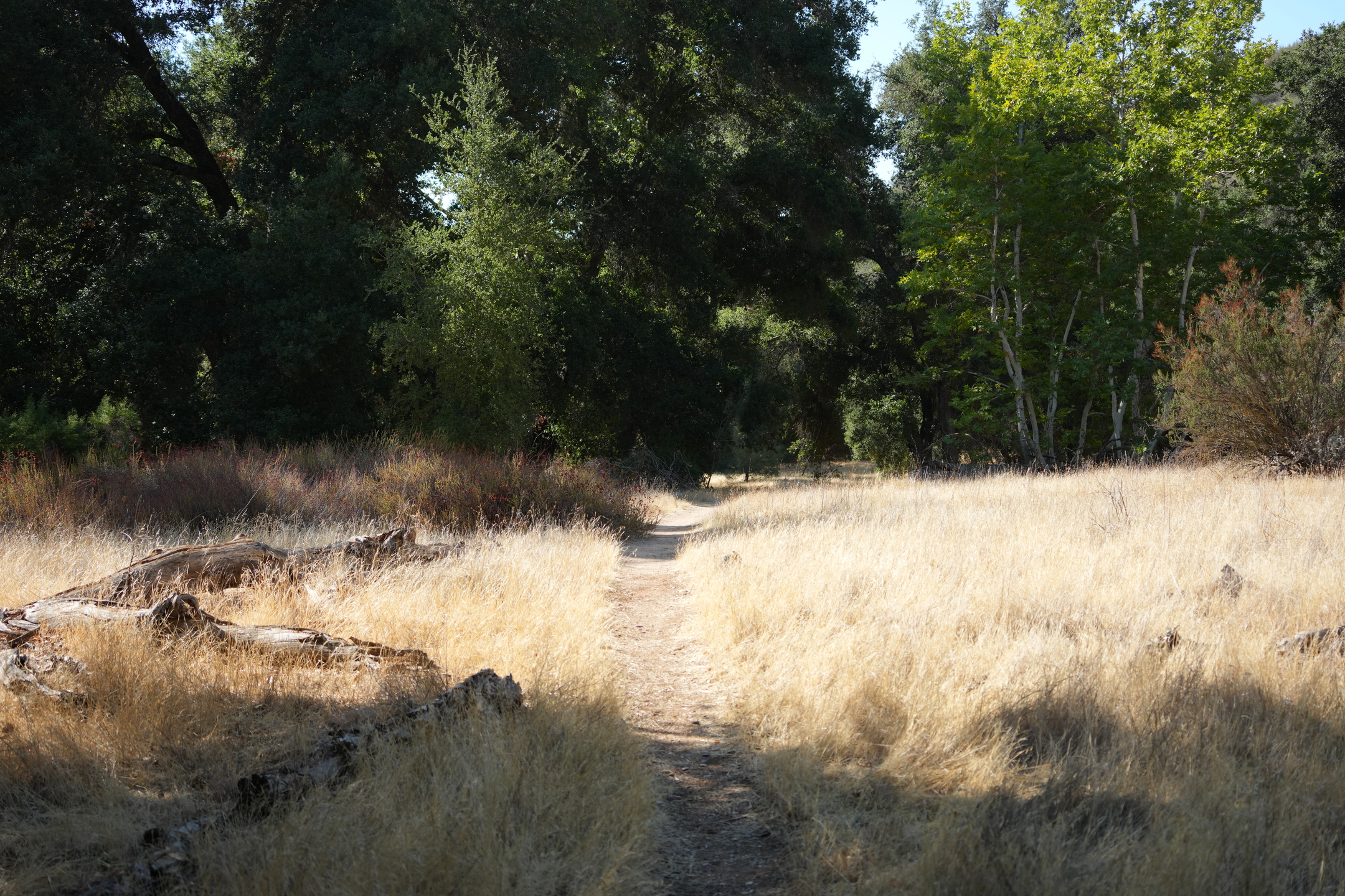 Southern Wilderness Trail