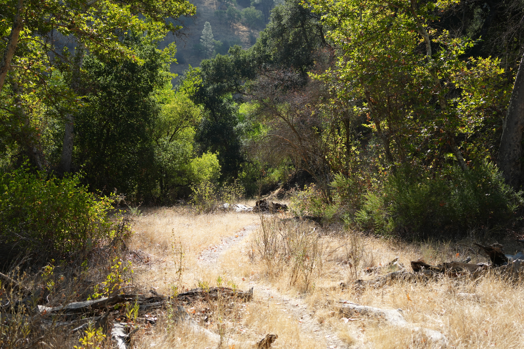 Southern Wilderness Trail