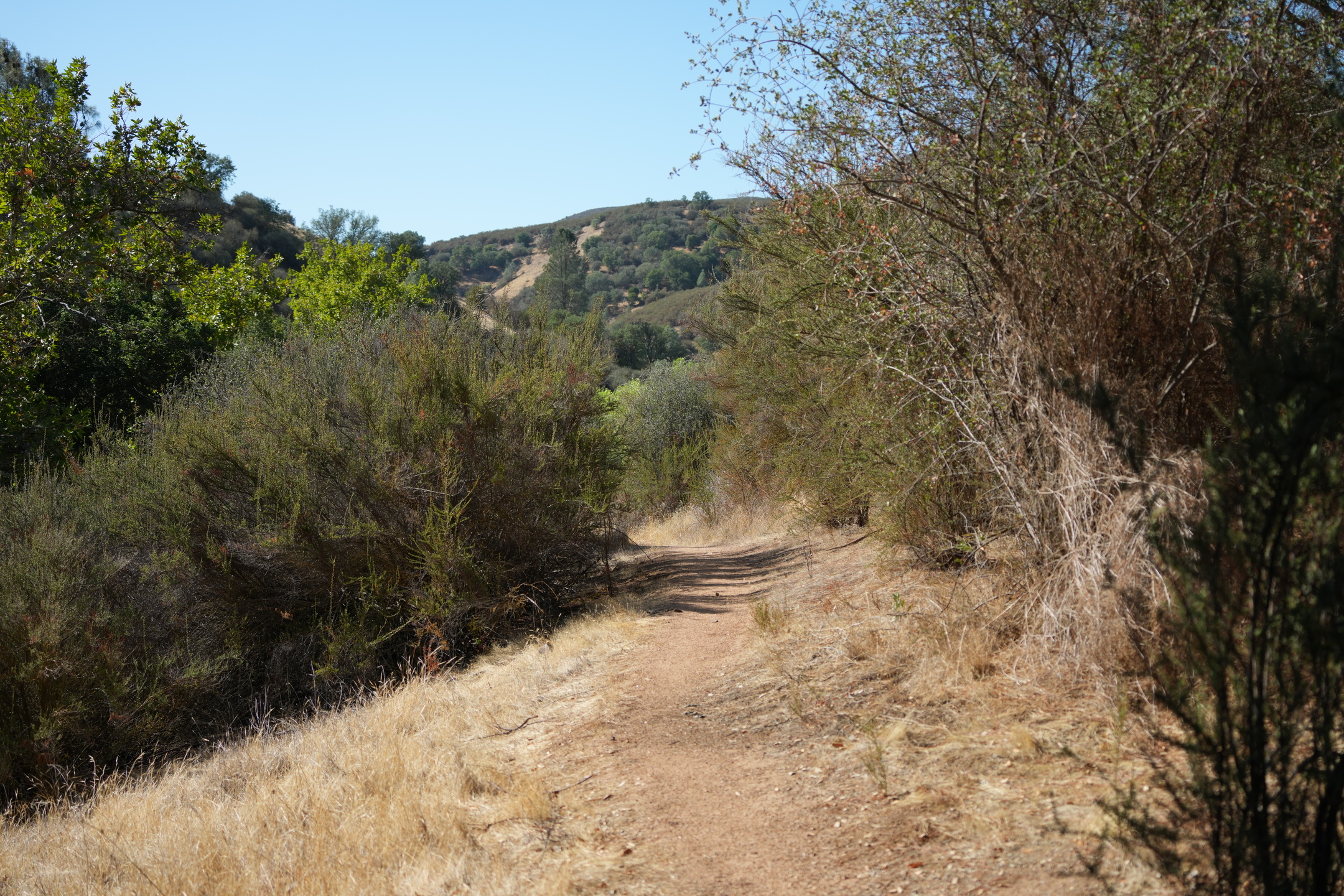 Southern Wilderness Trail