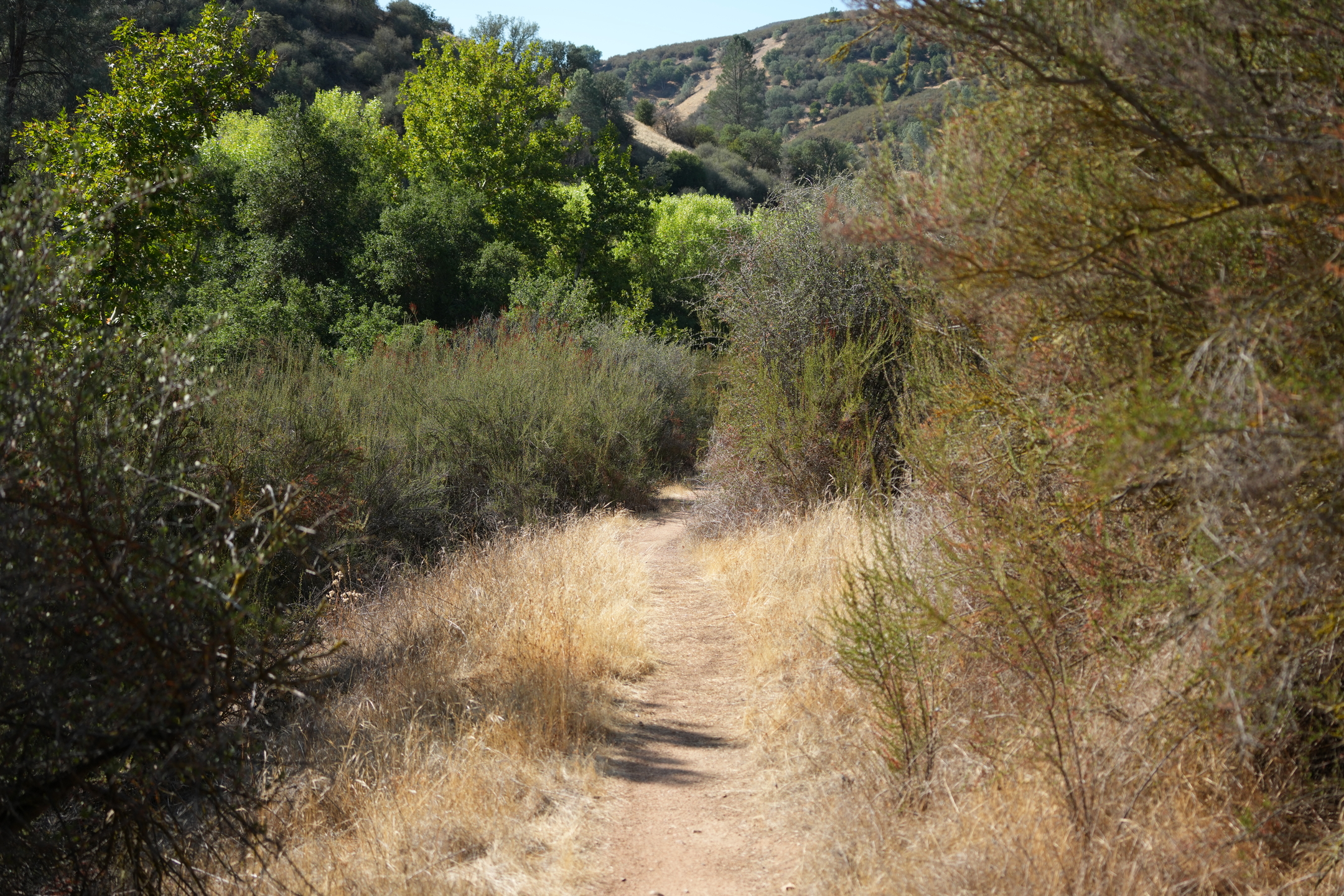 Southern Wilderness Trail