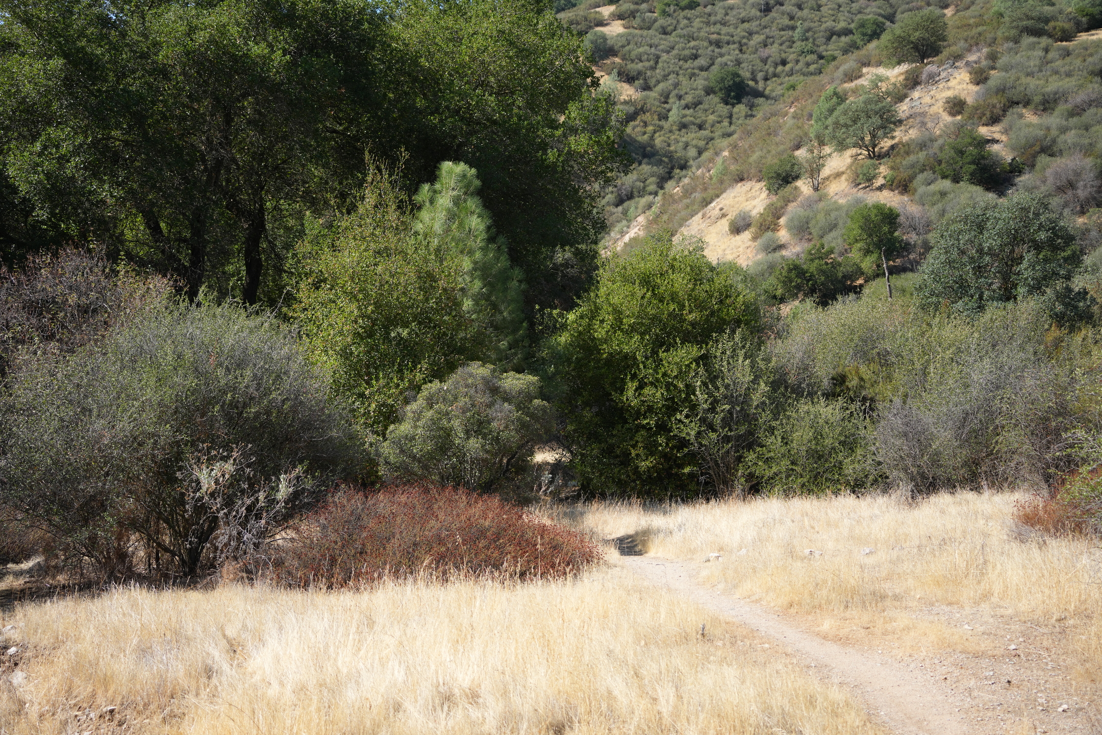 Southern Wilderness Trail