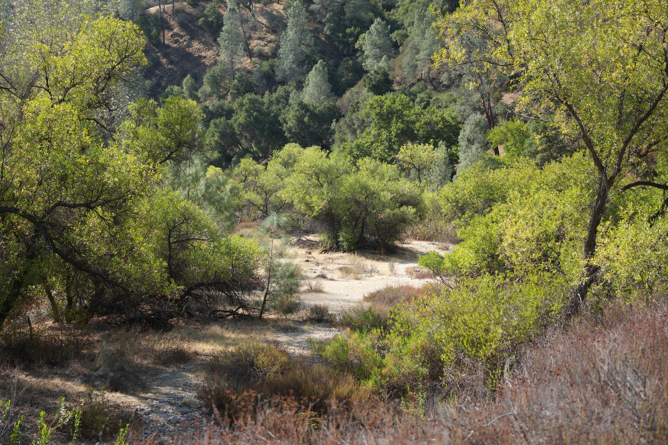Southern Wilderness Trail