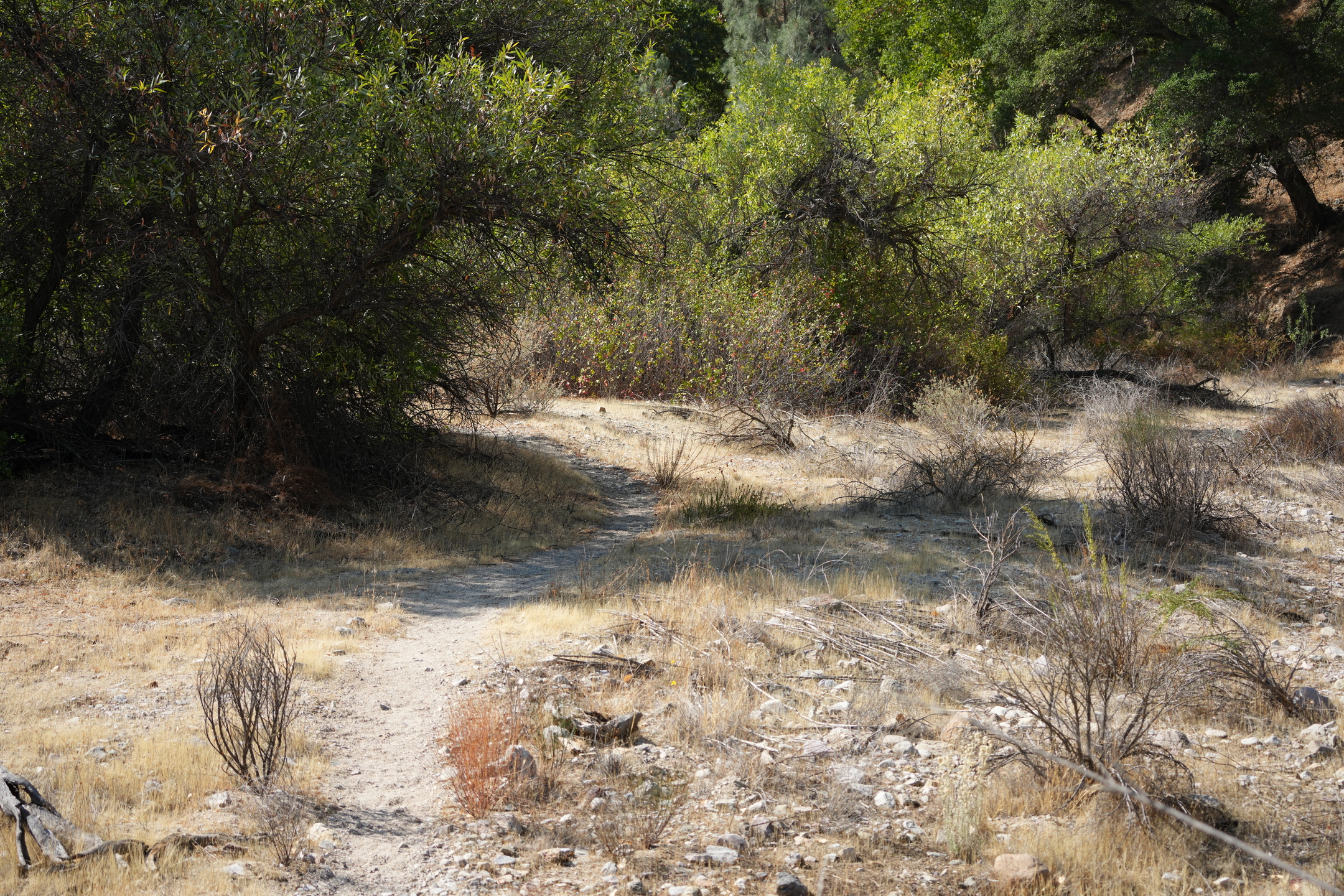 Southern Wilderness Trail