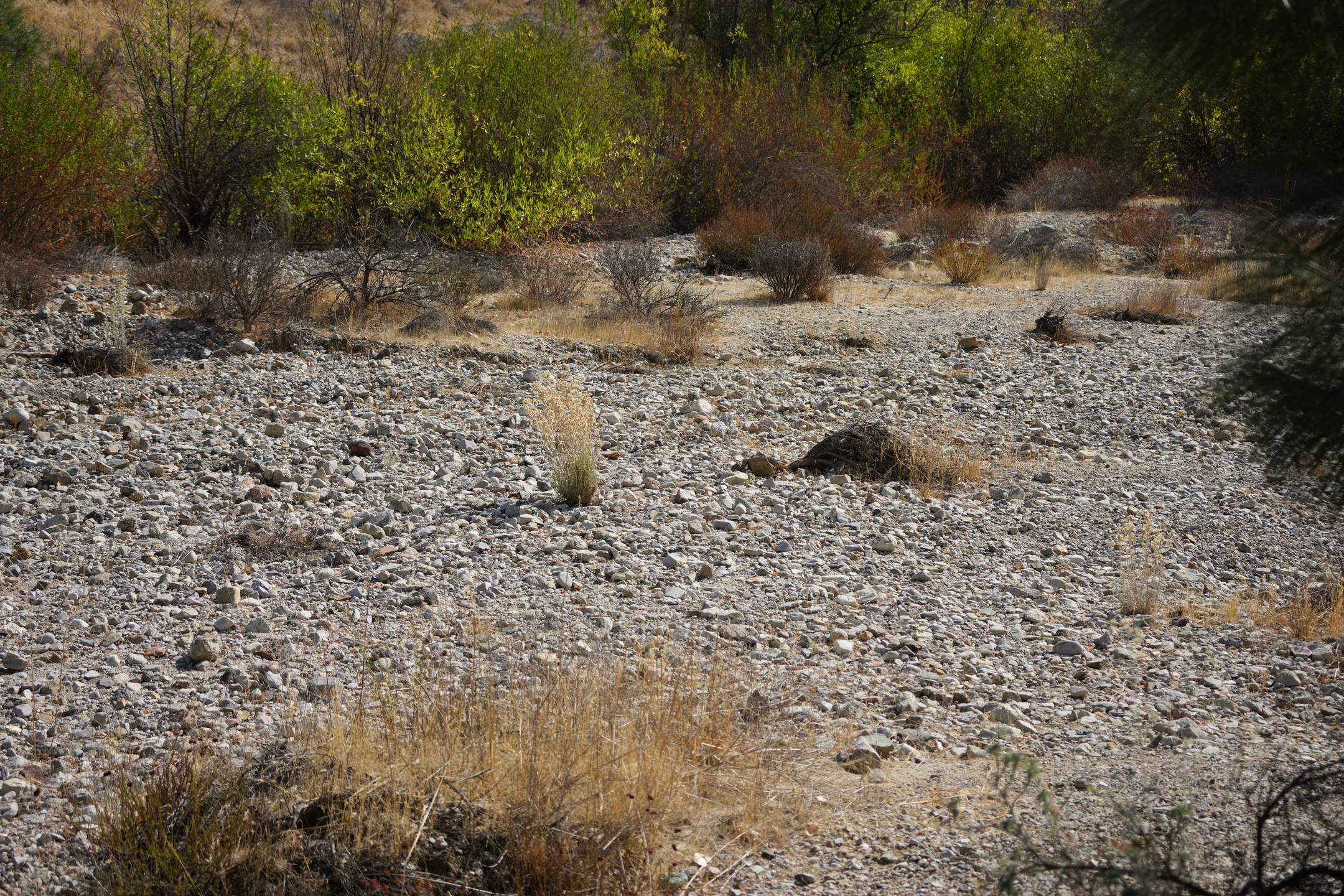 Southern Wilderness Trail