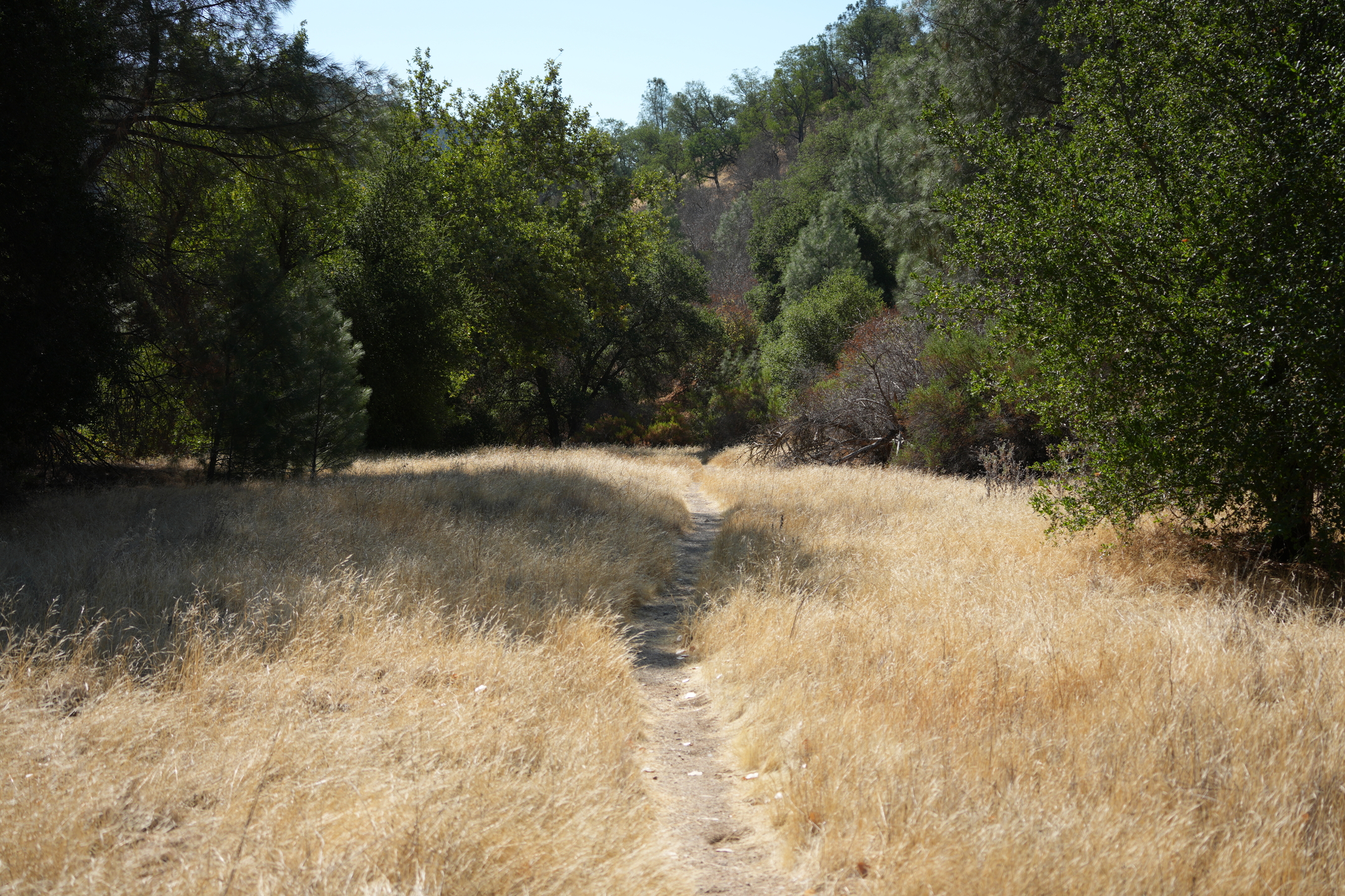 Southern Wilderness Trail