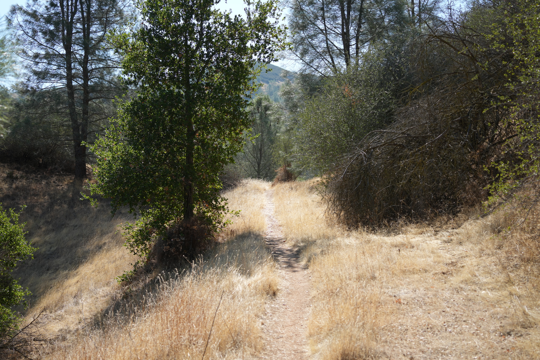 Southern Wilderness Trail