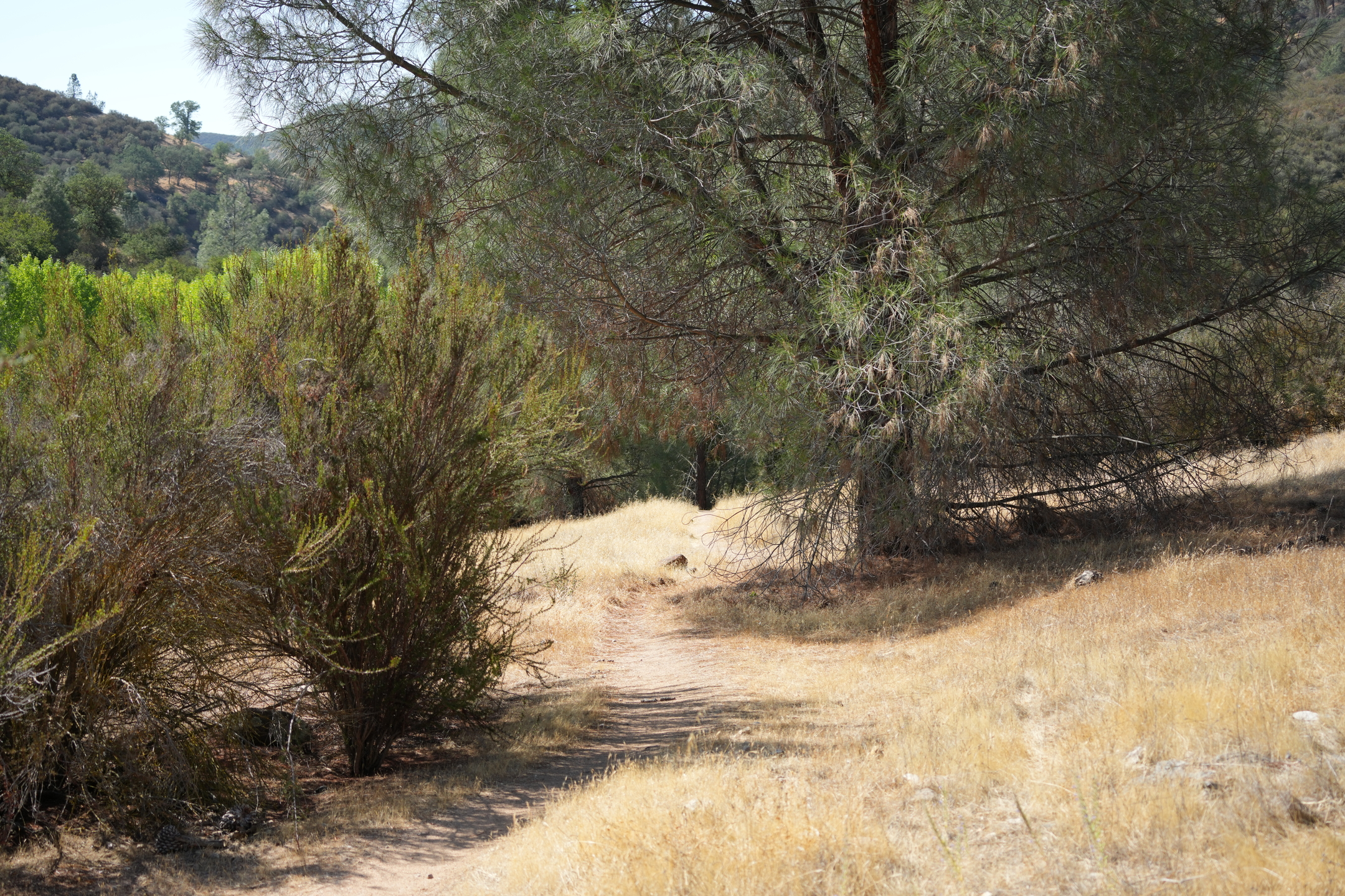 Southern Wilderness Trail