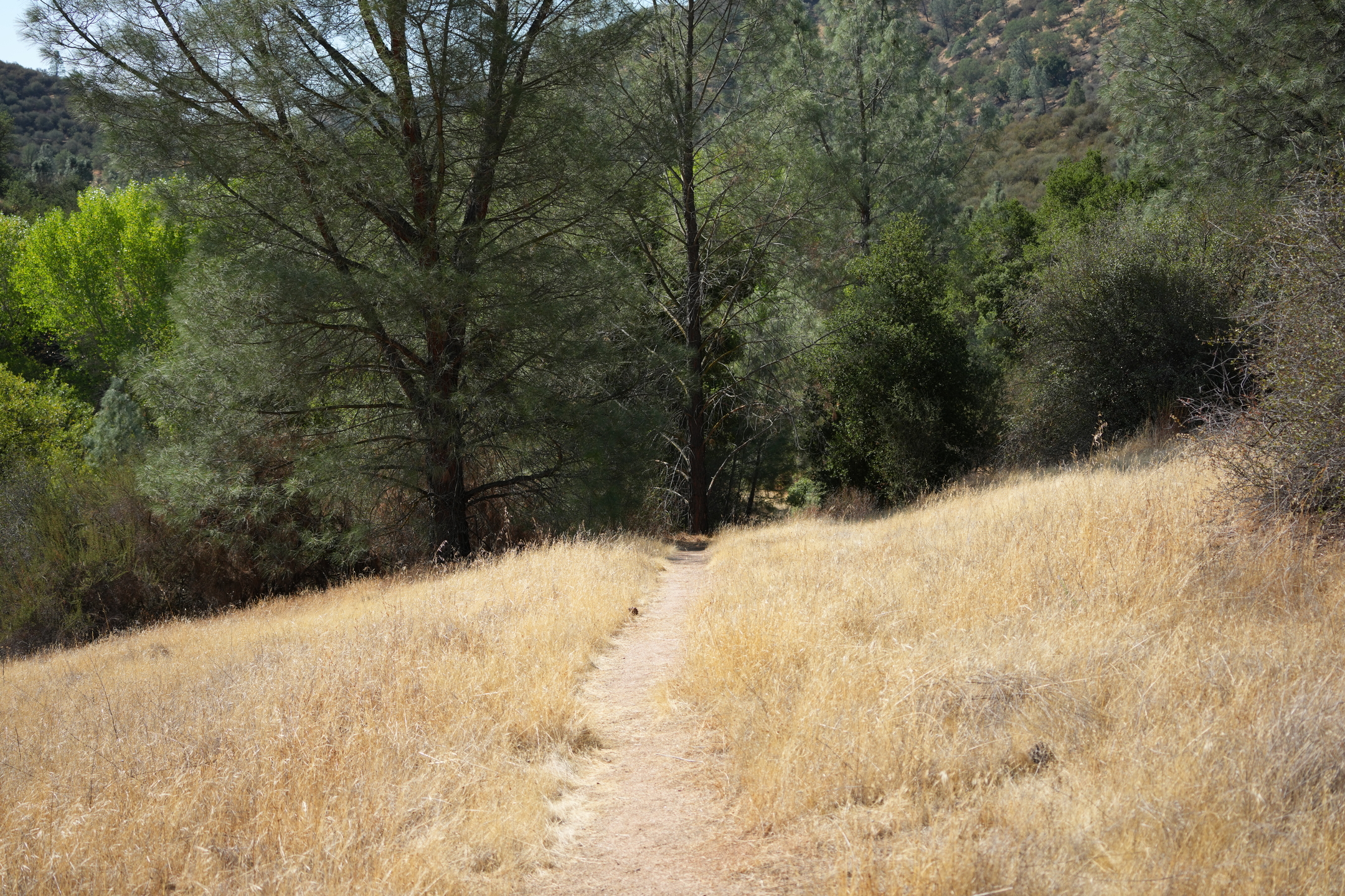 Southern Wilderness Trail