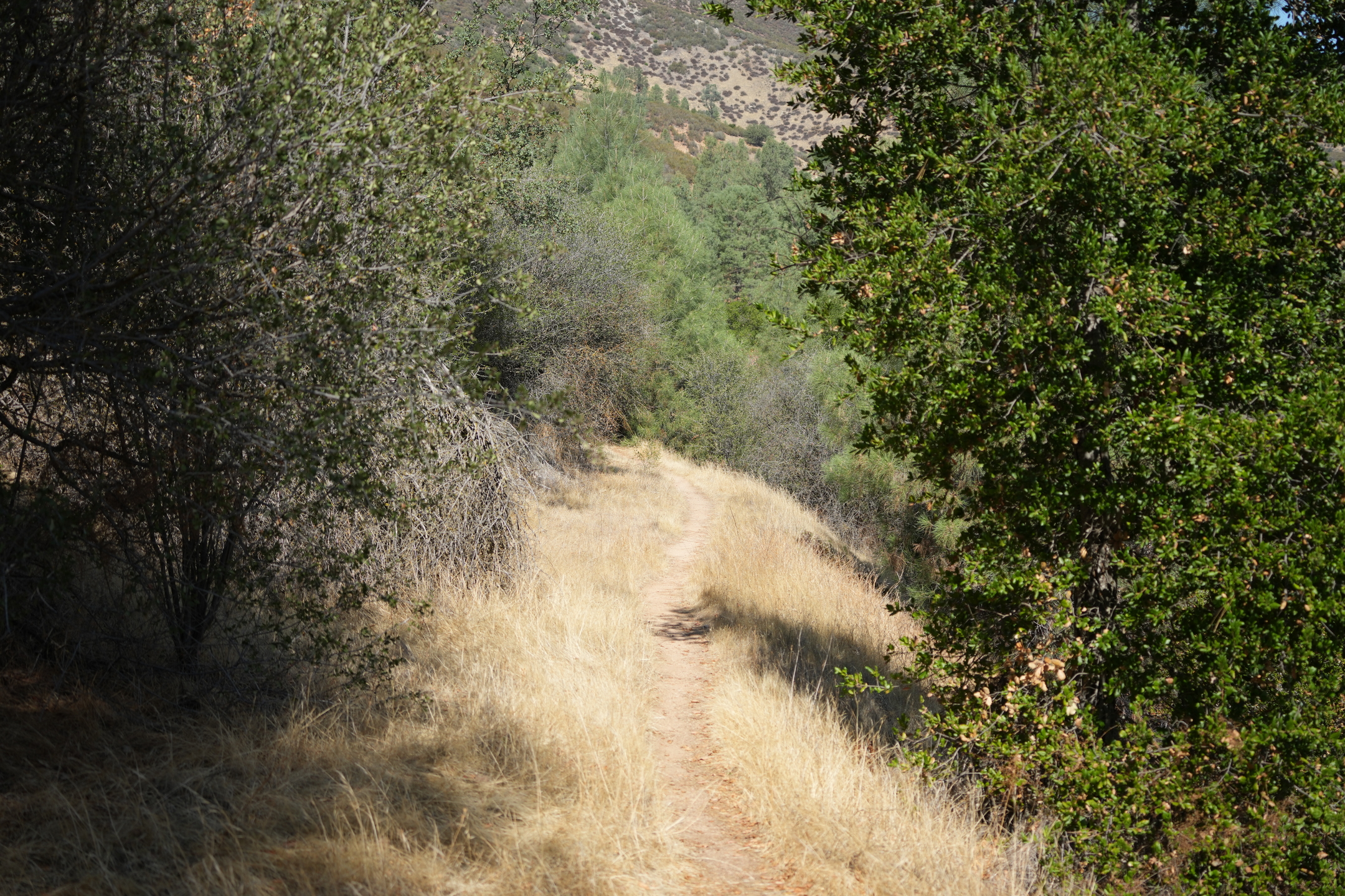 Southern Wilderness Trail