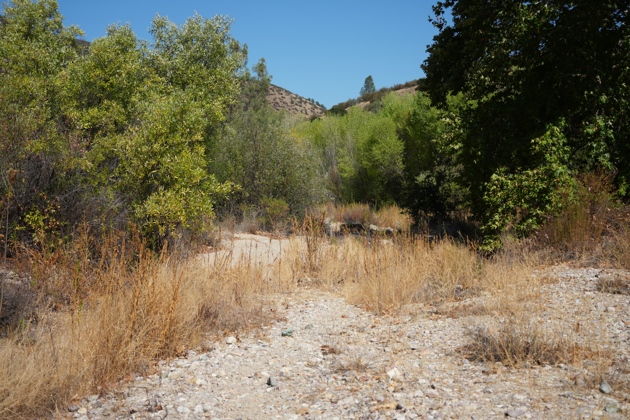 Southern Wilderness Trail
