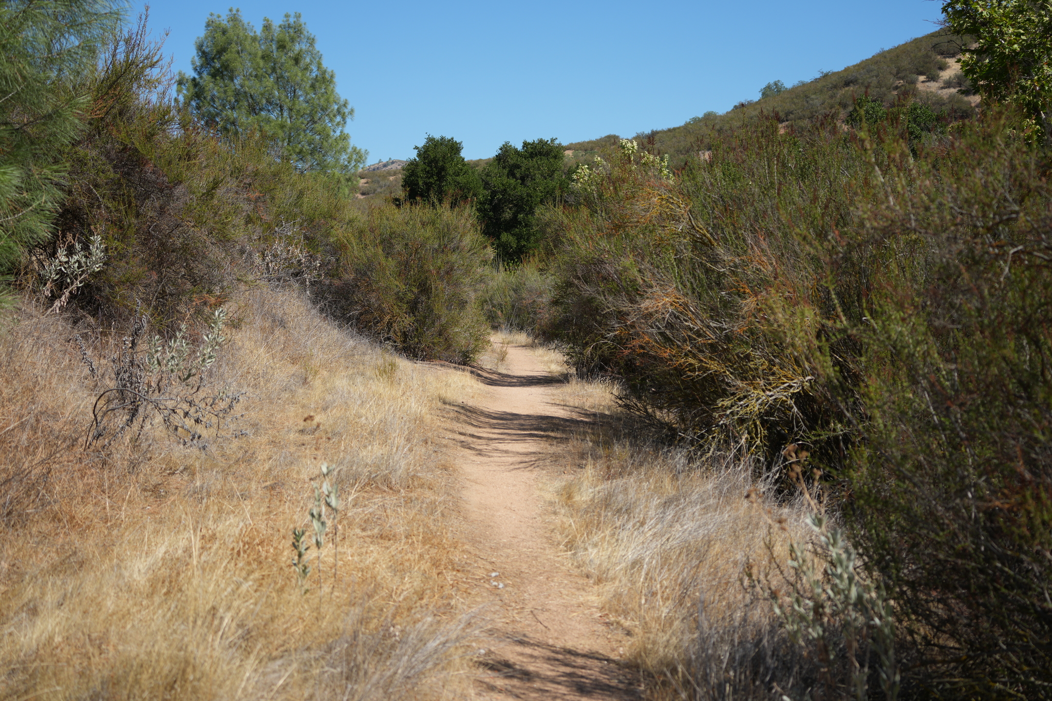 Southern Wilderness Trail