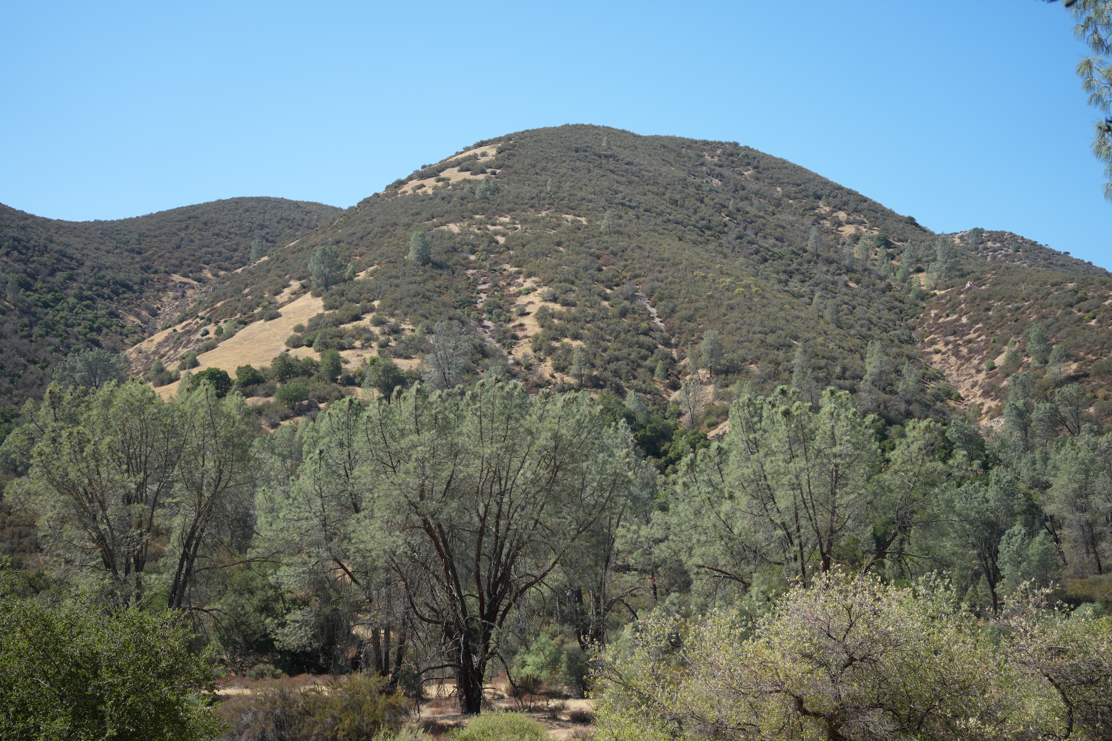 Southern Wilderness Trail