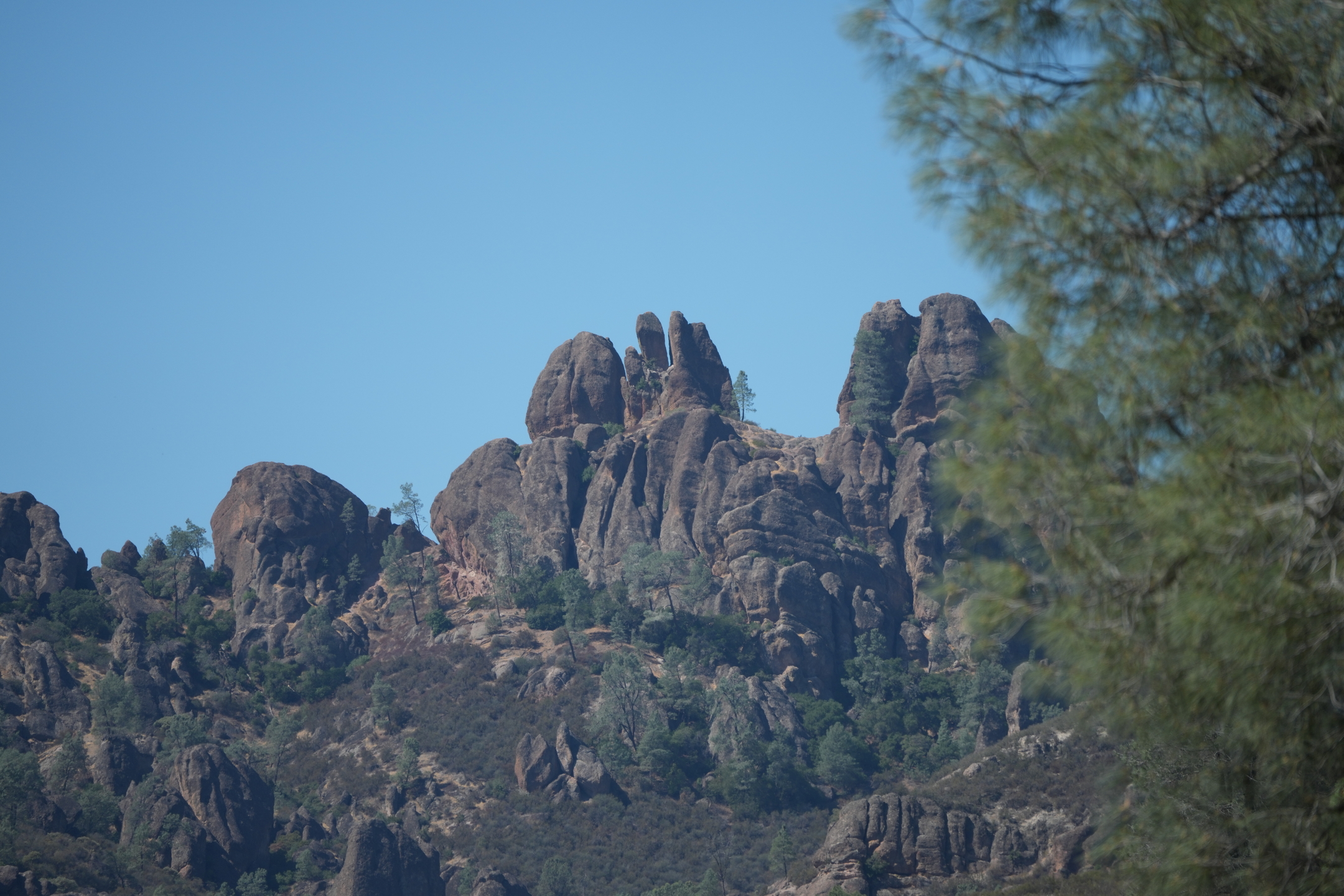 Pinnacles