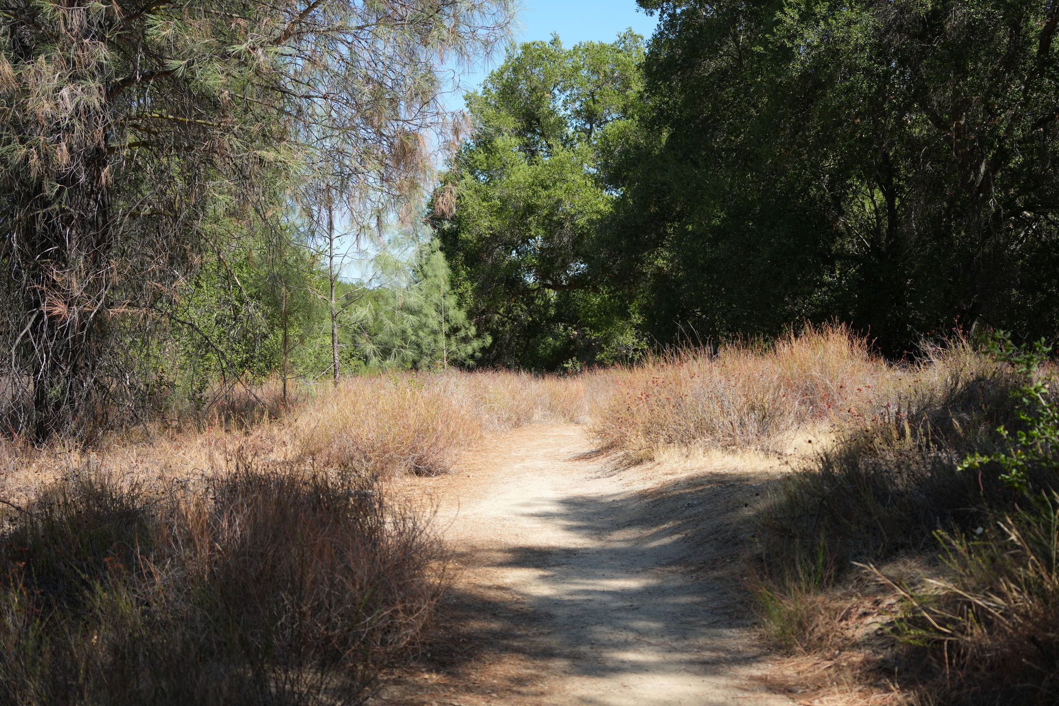 Pinnacles National Park