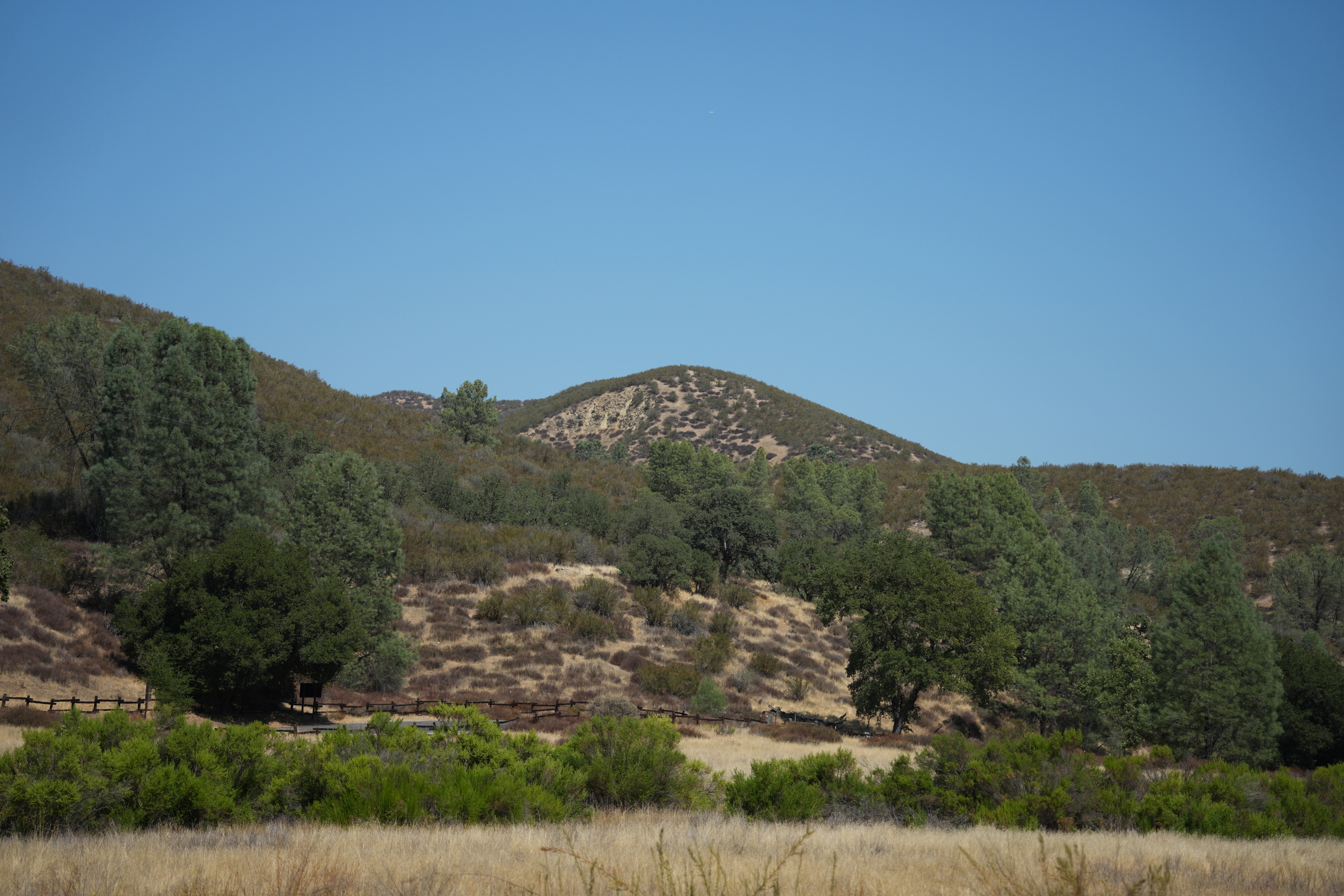 Pinnacles National Park