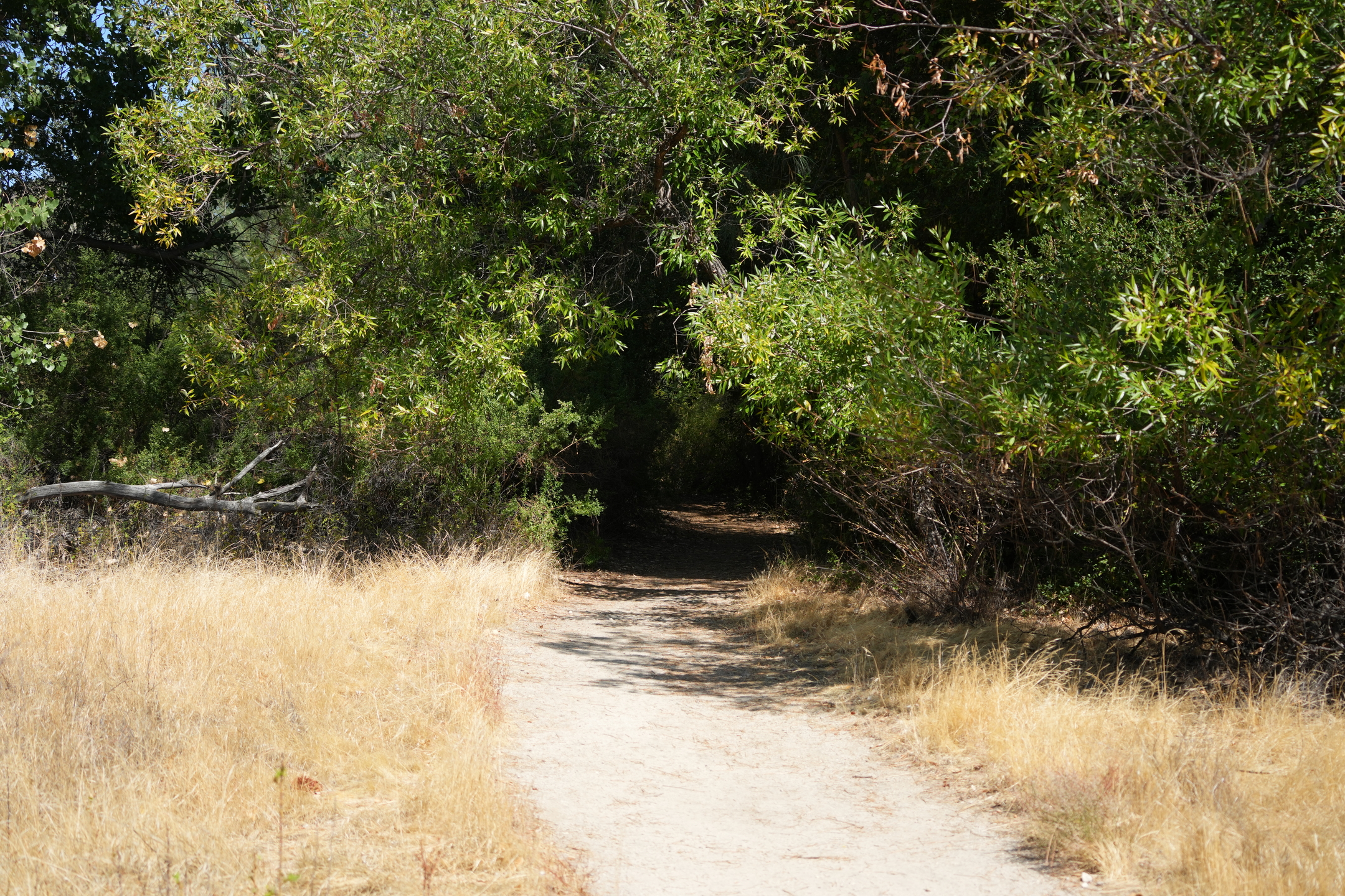 Pinnacles National Park