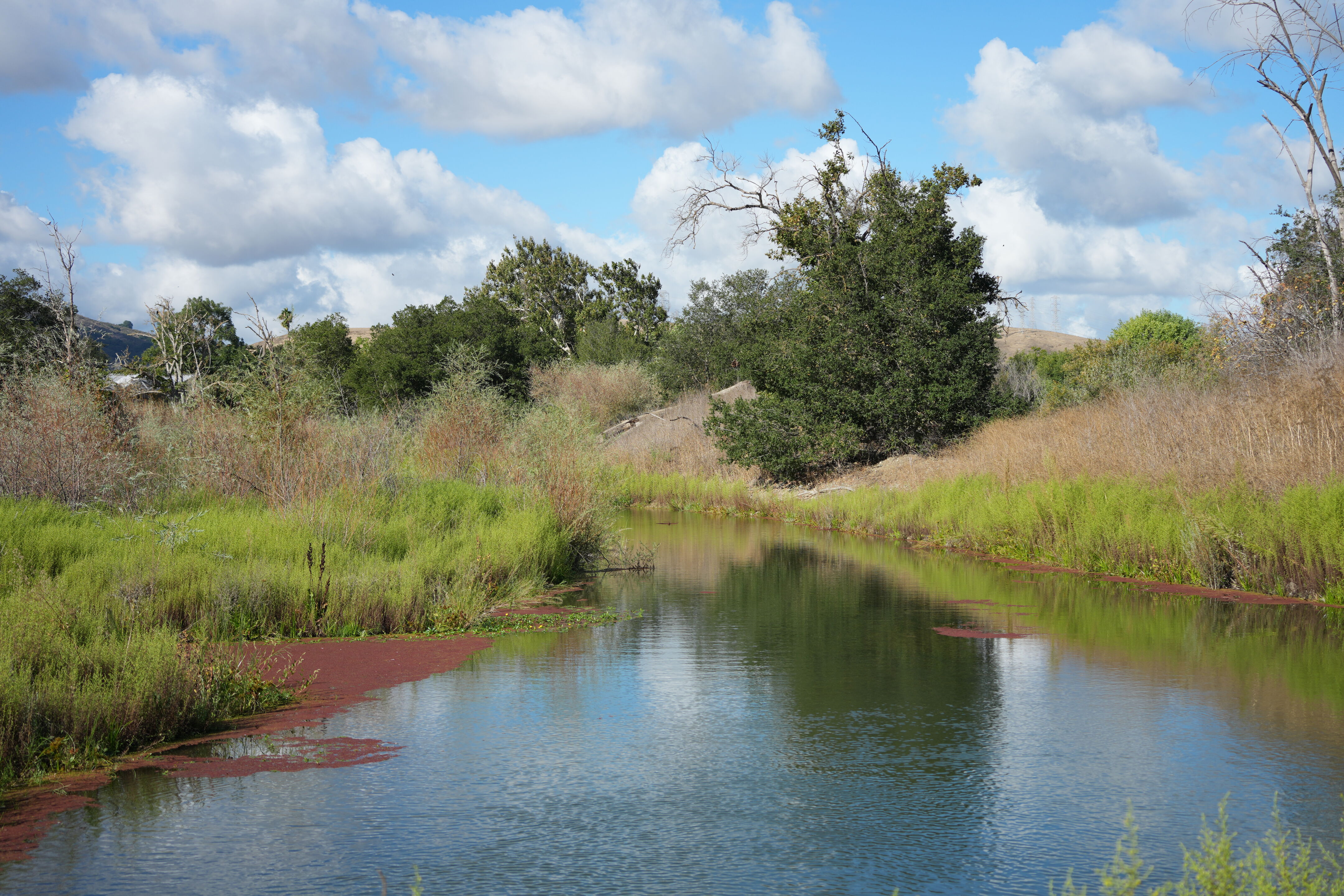 Coyote Creek