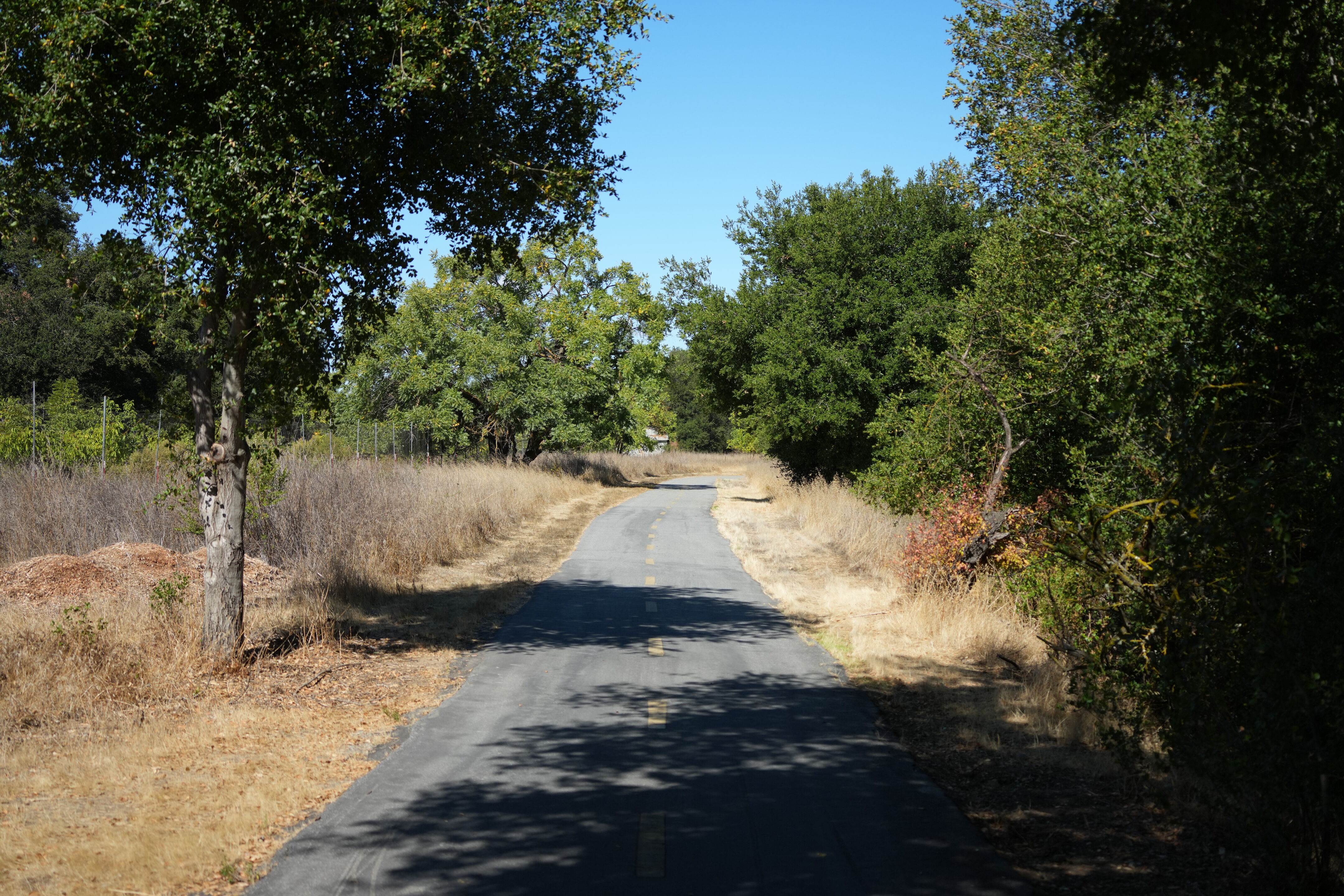 Coyote Creek Parkway