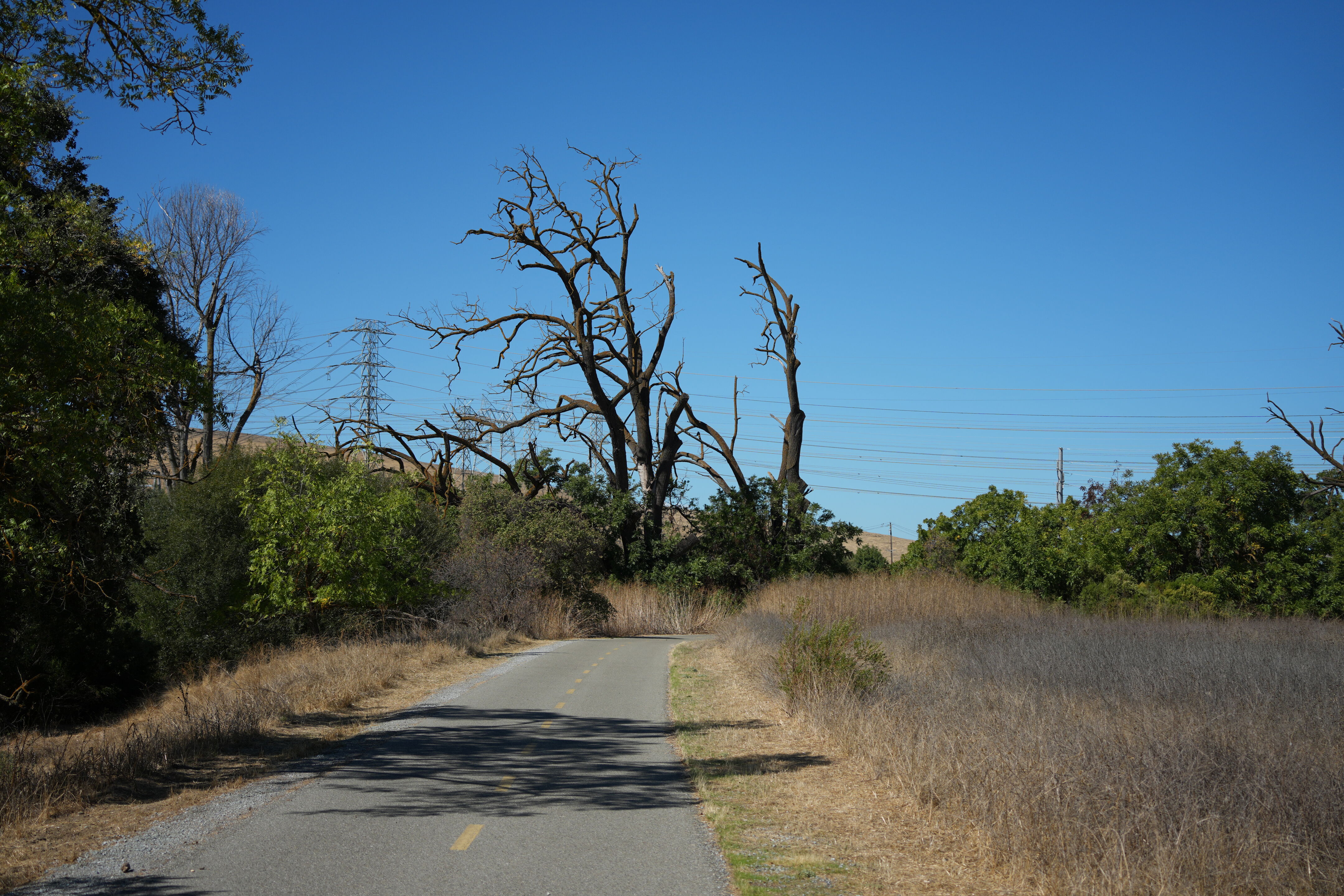 Coyote Creek Parkway