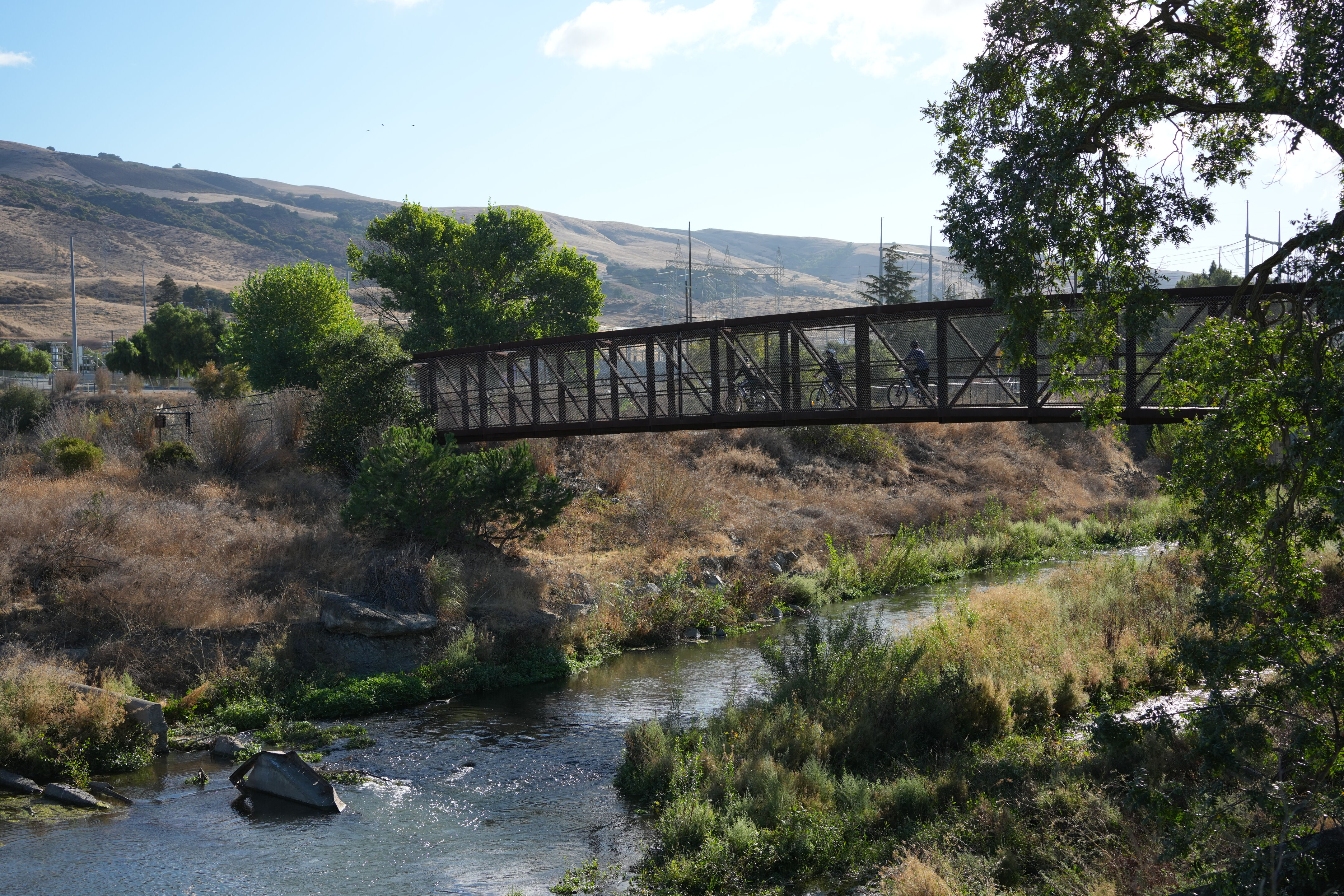Coyote Creek