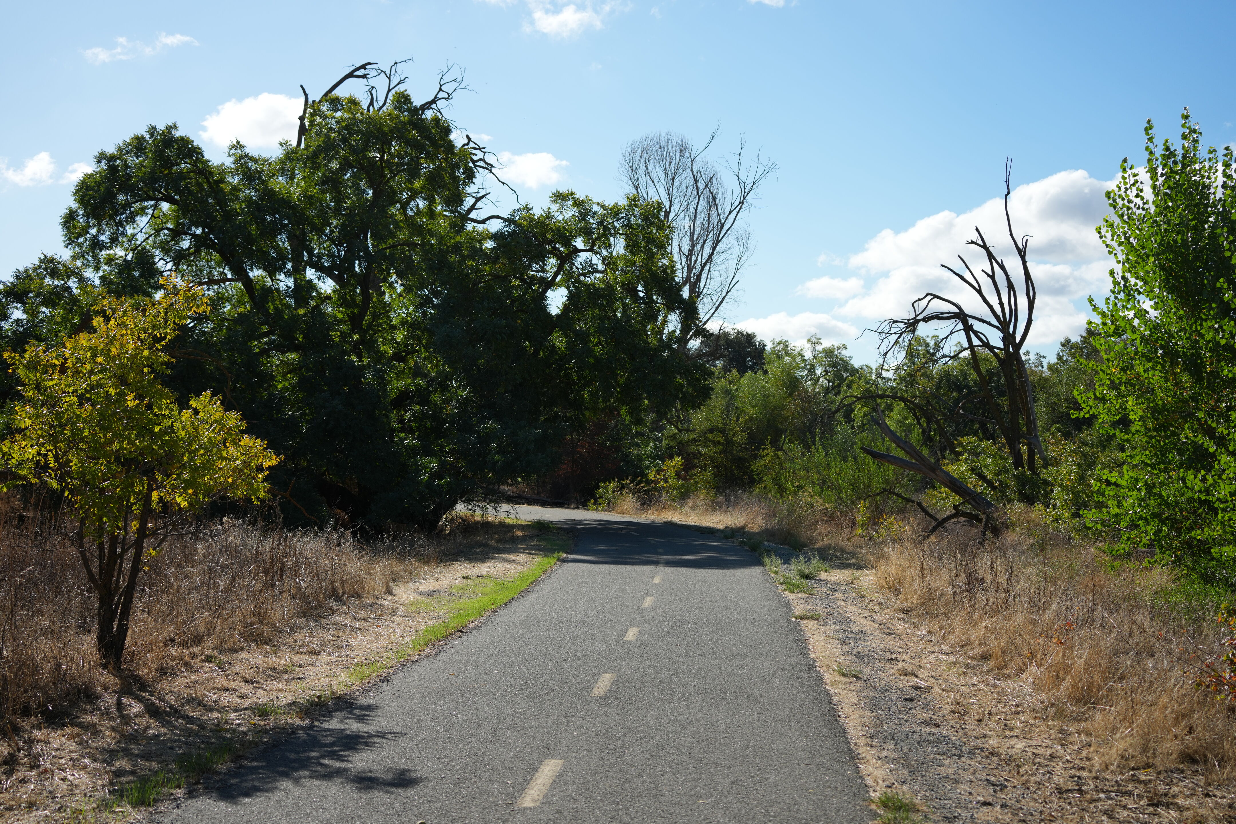Coyote Creek Parkway