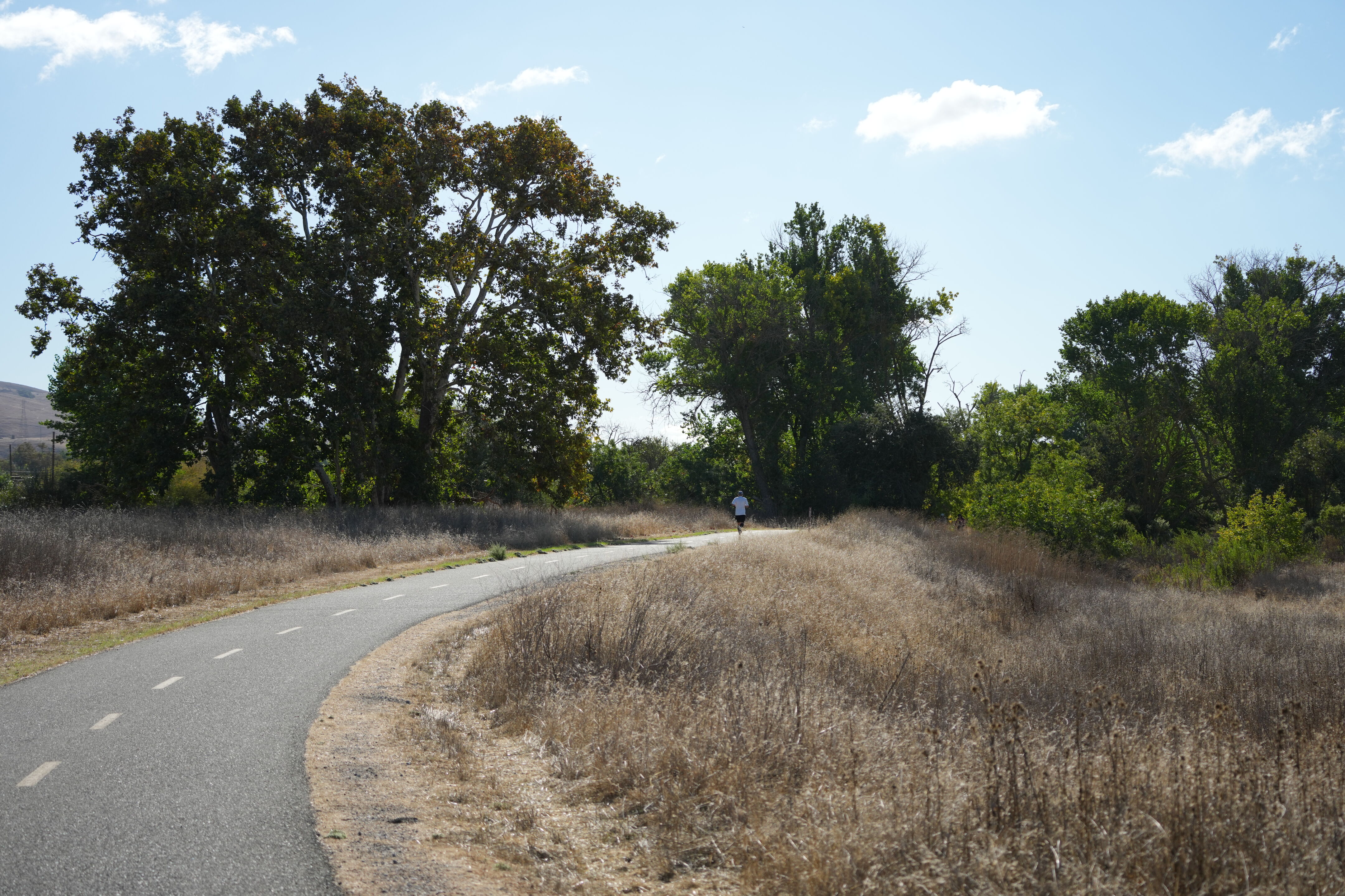 Coyote Creek Parkway